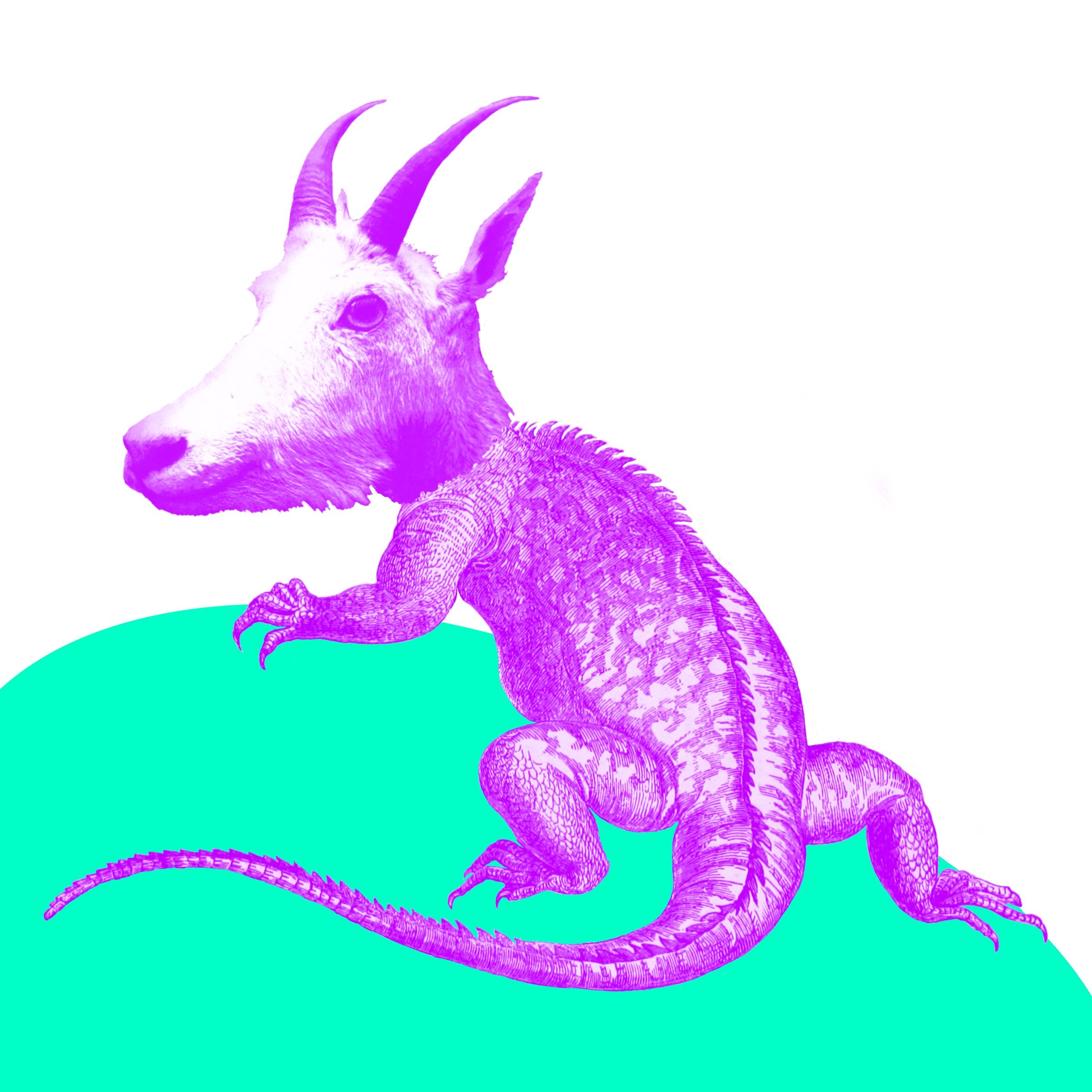 Landon Godfrey | Goat | 8"x 8" in | Digital collage