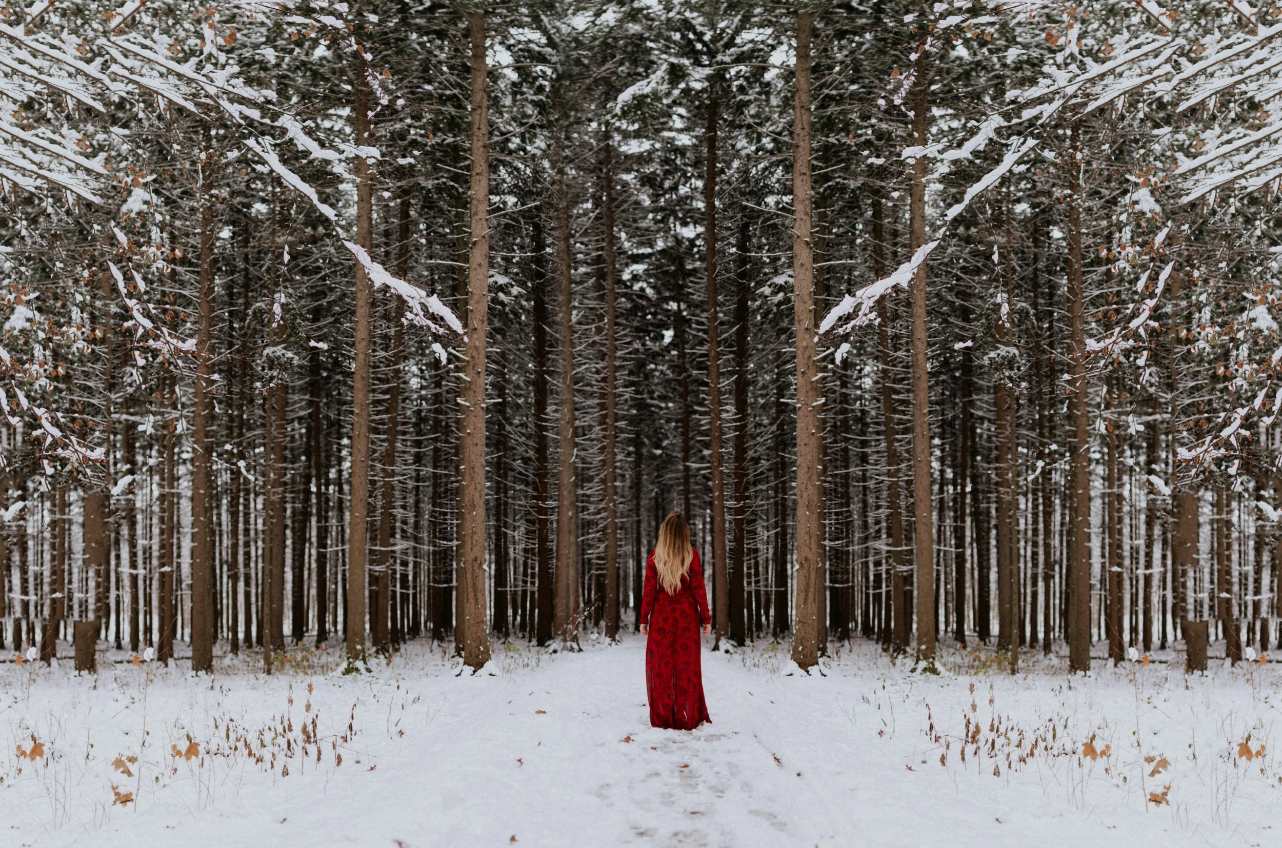 I’ve Been Honoring the Winter Solstice Since I Was a Teenager—This Year Hits Different