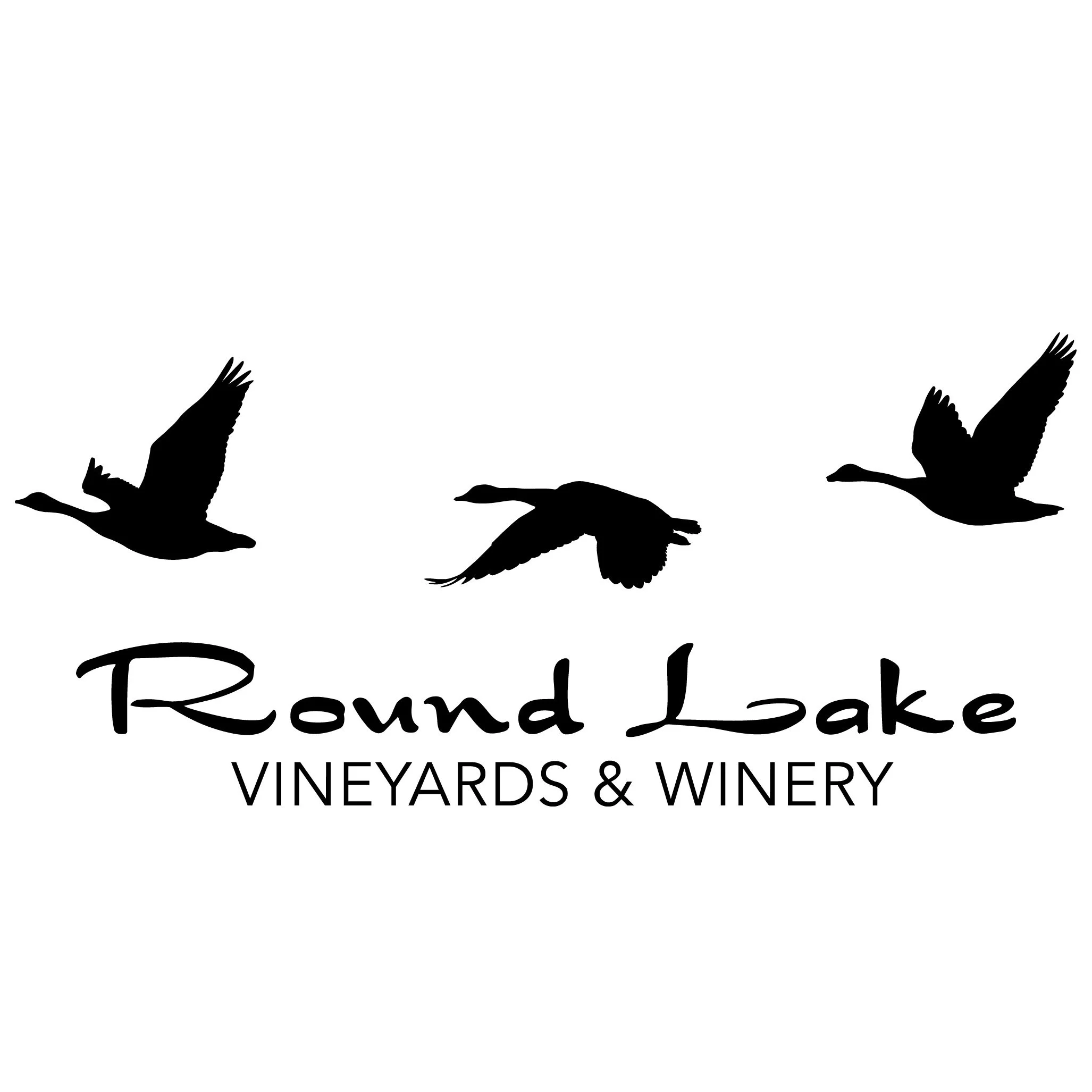 3 Geese Flying wlogo_Black.jpg