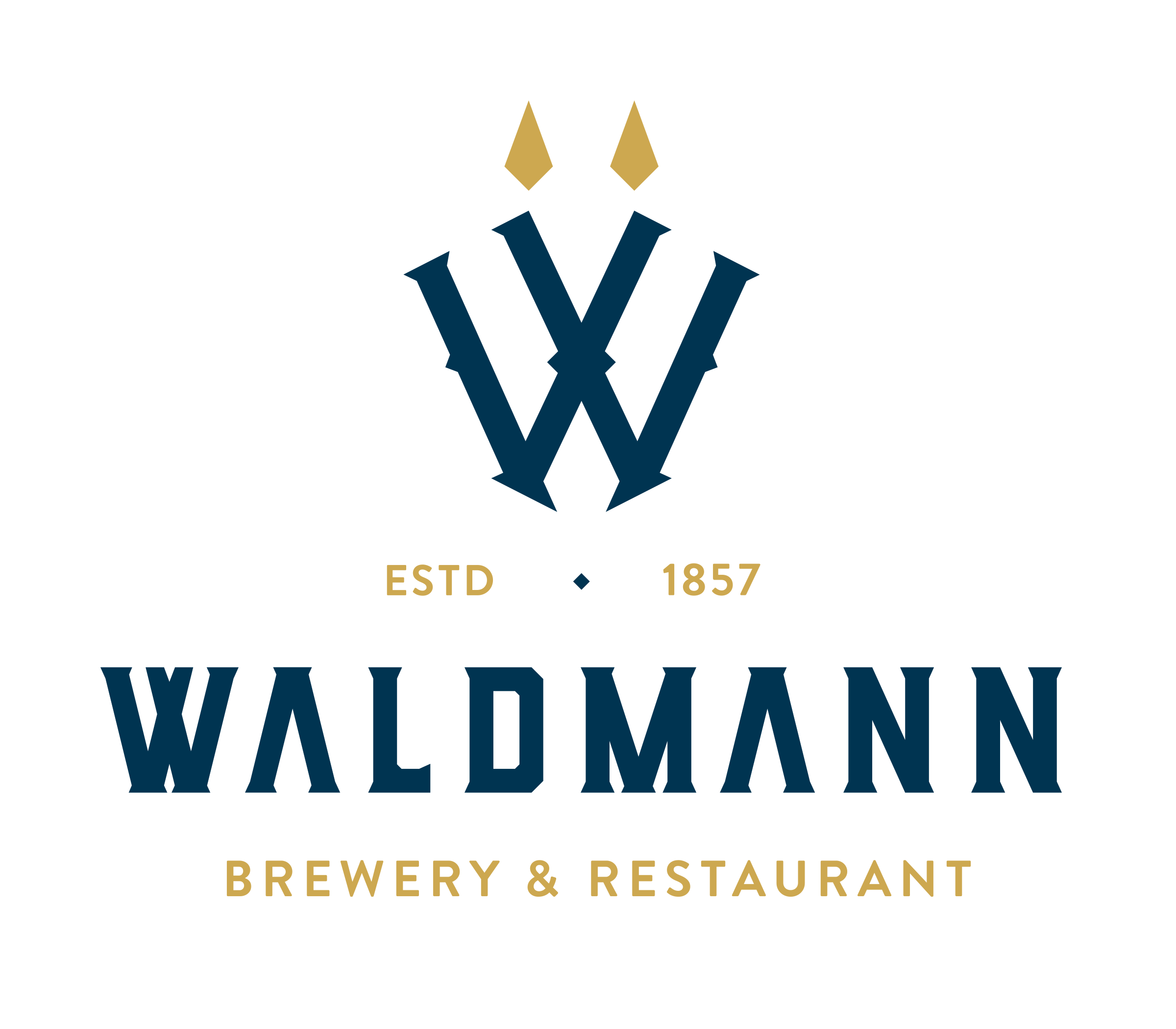 Waldmann_Logo_Navy_UseOnNatural.png