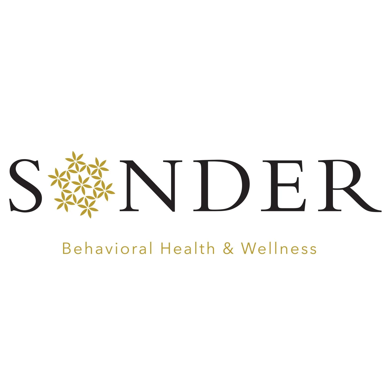 Sonder Logo 1.jpg