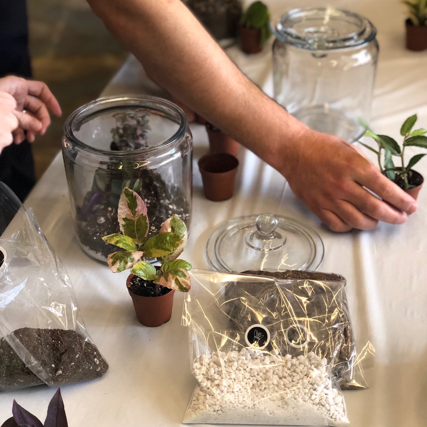 On Saturday we hosted our annual 4those Parent Care Workshop for parents and caregivers of former micropreemies. The morning was full of connection and healing for many of us who want to nurture a big and beautiful future not just for our children, b