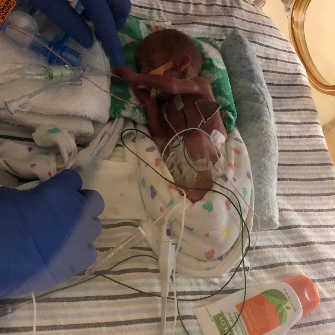 We were just days away from witnessing a radical and world-tilting miracle, something so profound that would leave us wholly changed. Something so wild and untamed and eternal that could neither be explained nor quantified that would serve as a remin