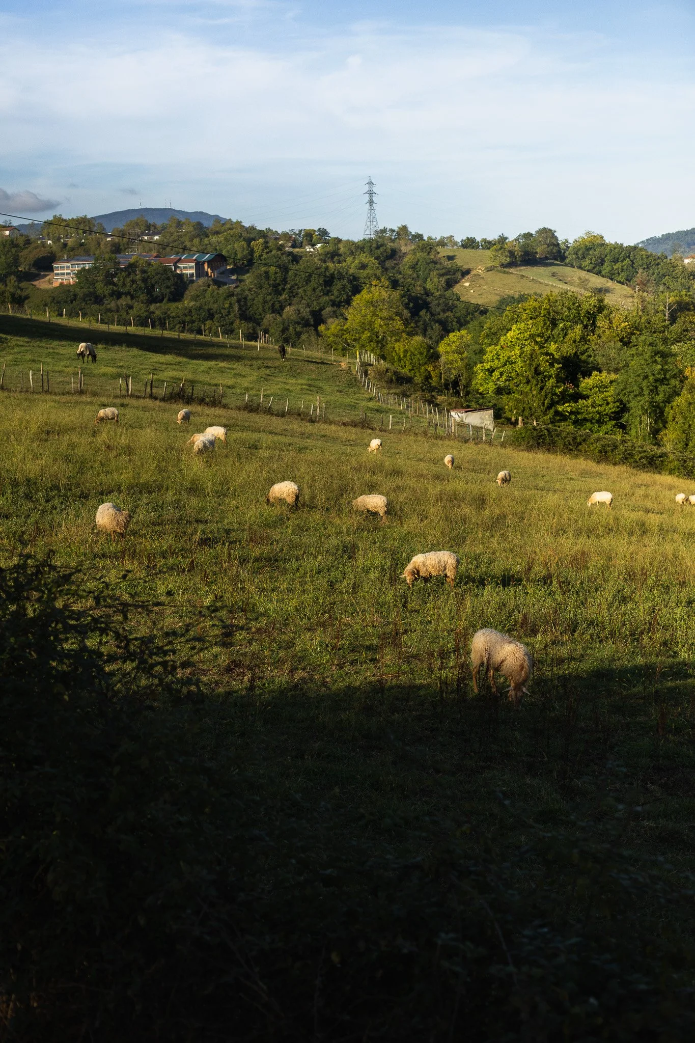 ENCUENTRO_LARRE-AUNDI_24.jpg