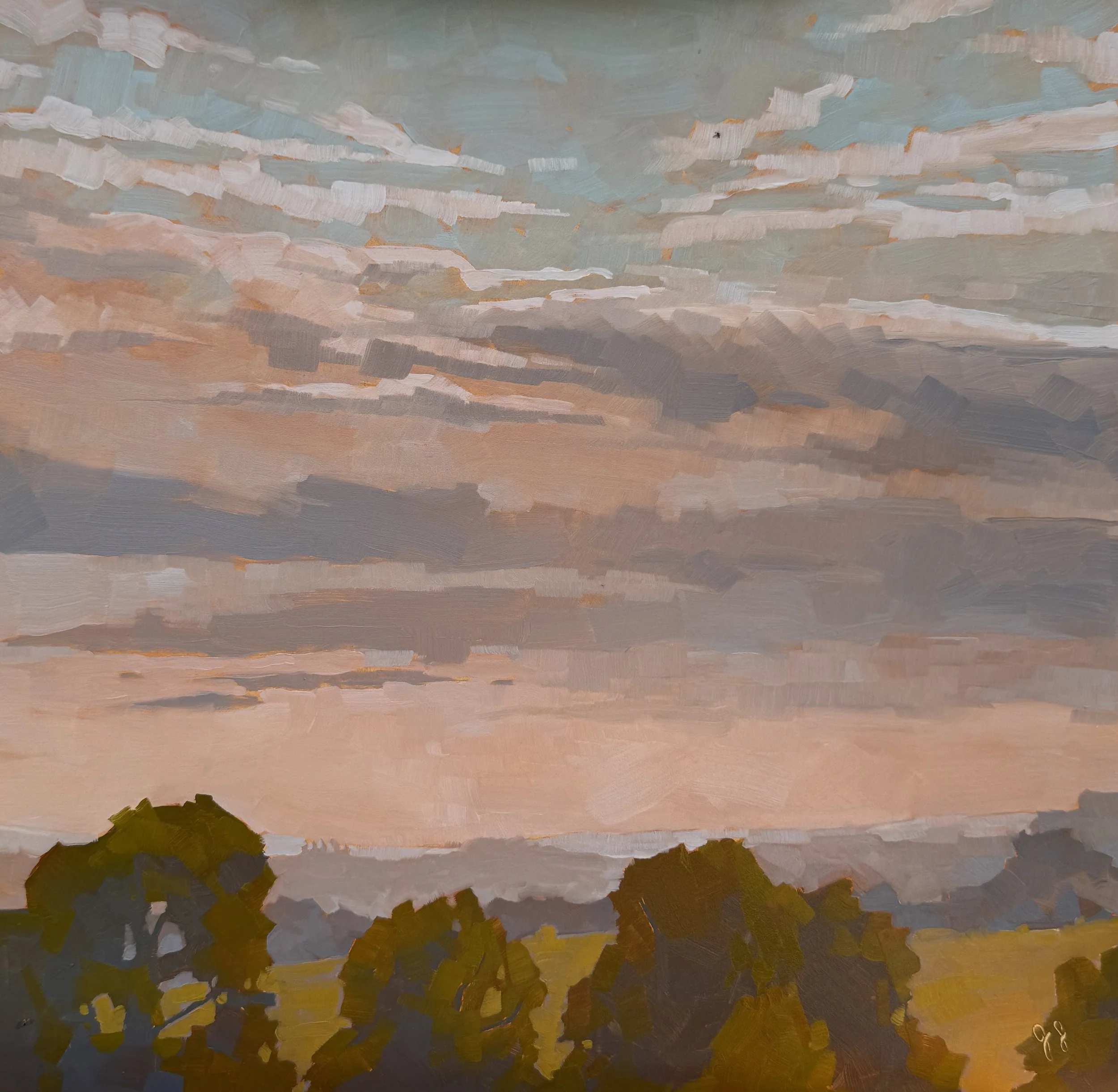 Backyard View | 12x12 | sold