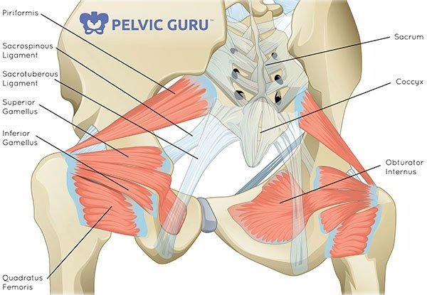It’s Not Just About The Pelvic Floor