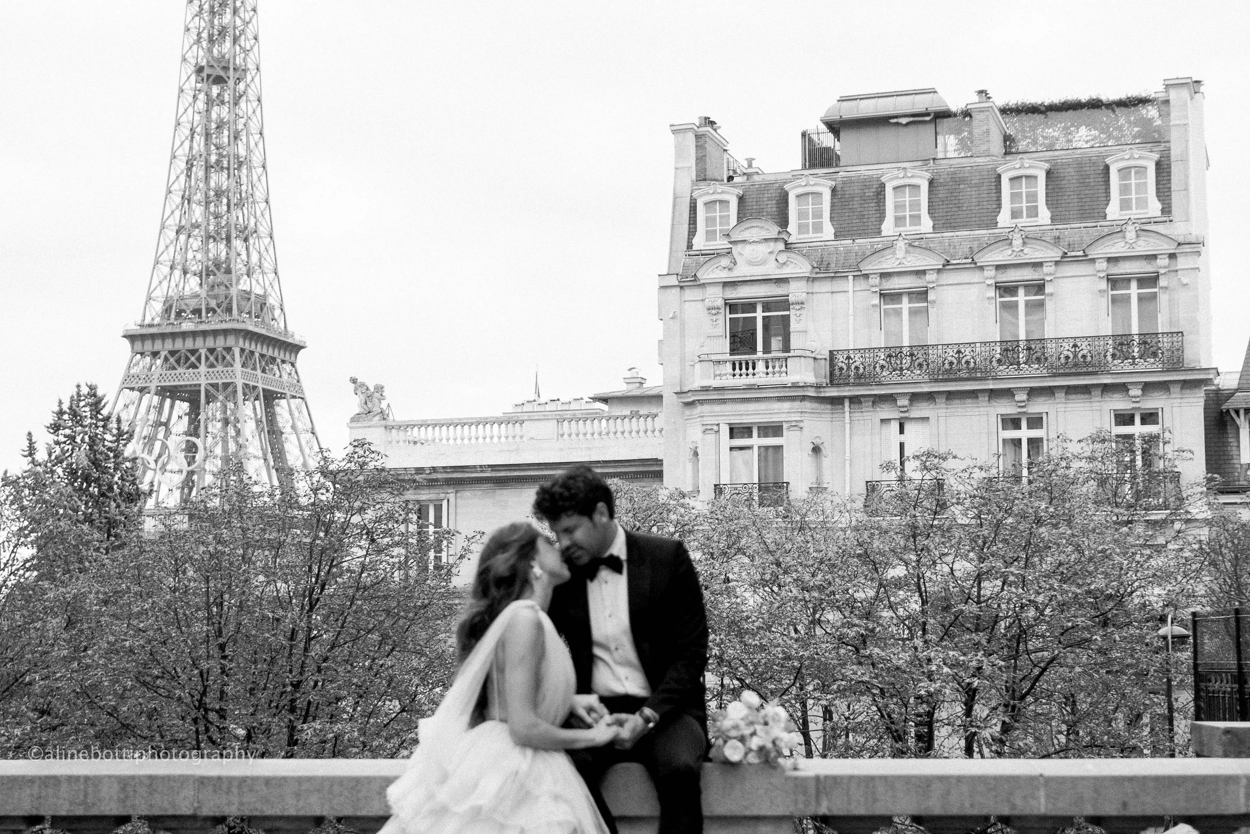 Aline Botti Photography portfolio image 5