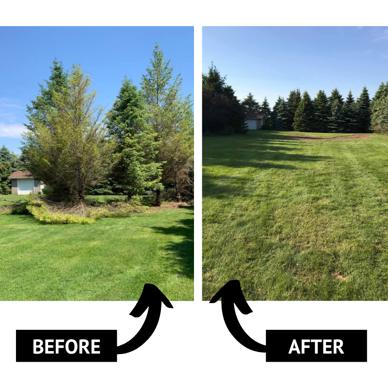 Land Clearing, Brush Hogging & Forestry Mulching in Western NY – Heinz ...