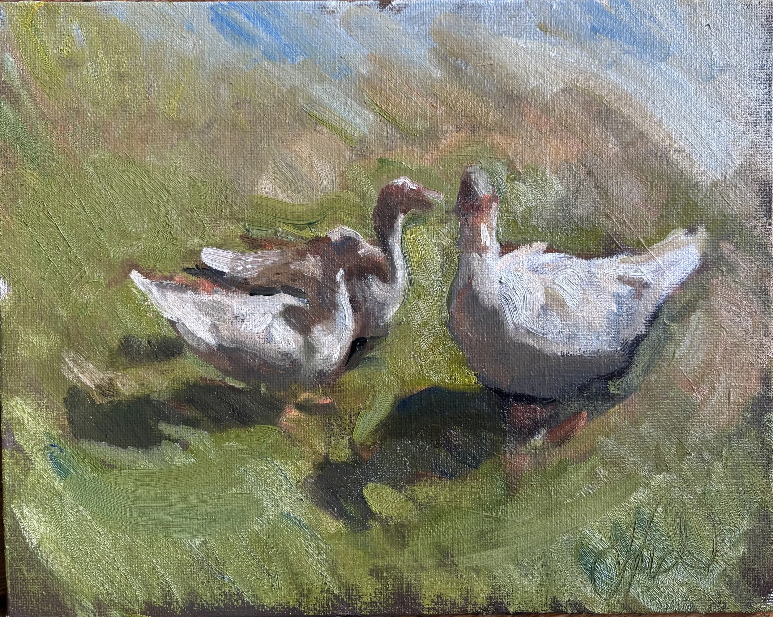 Ducks study