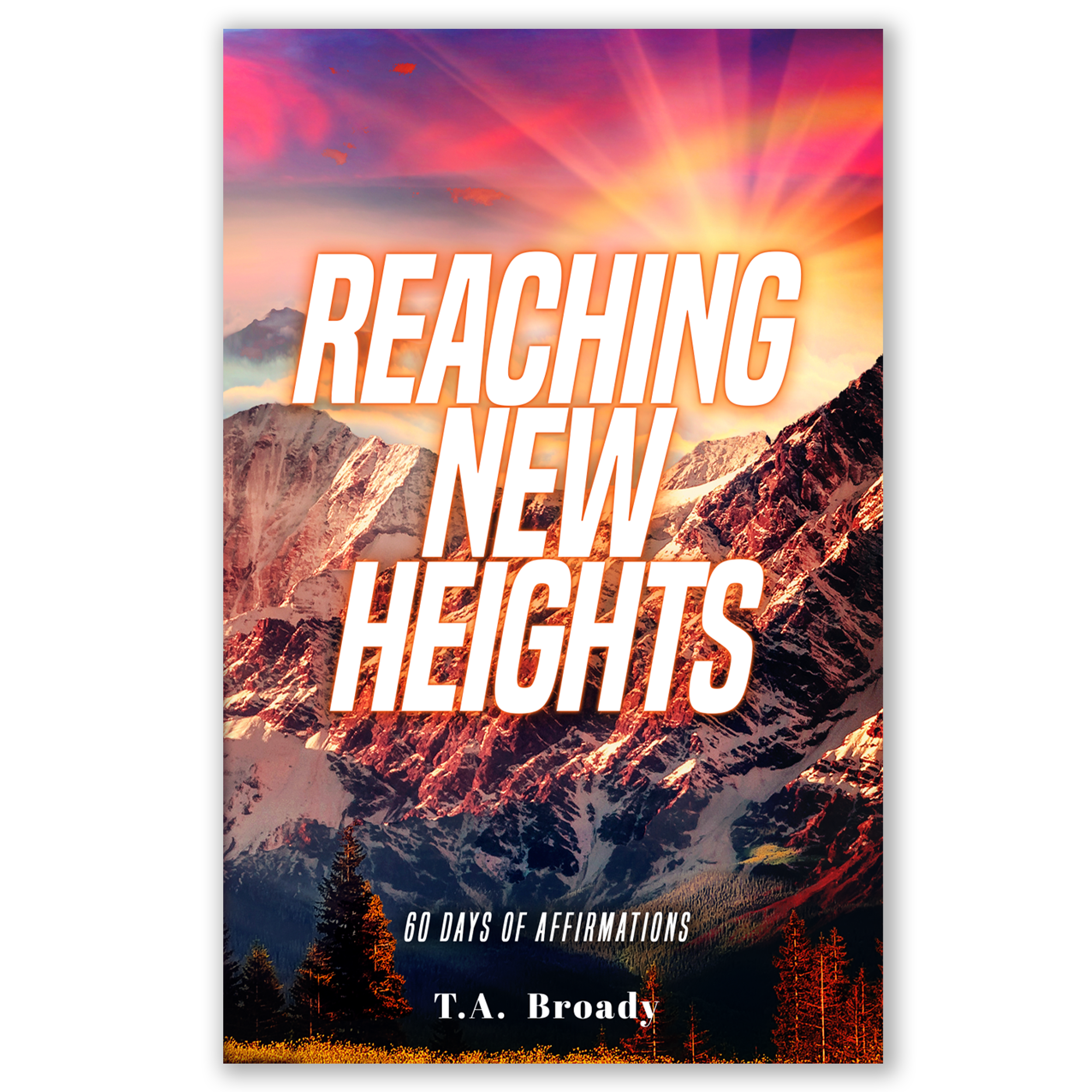 Book cover2.png
