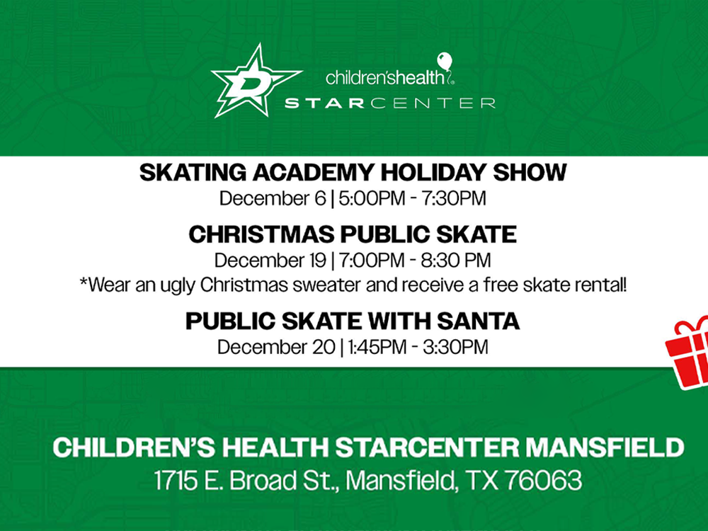 Christmas Public Skate