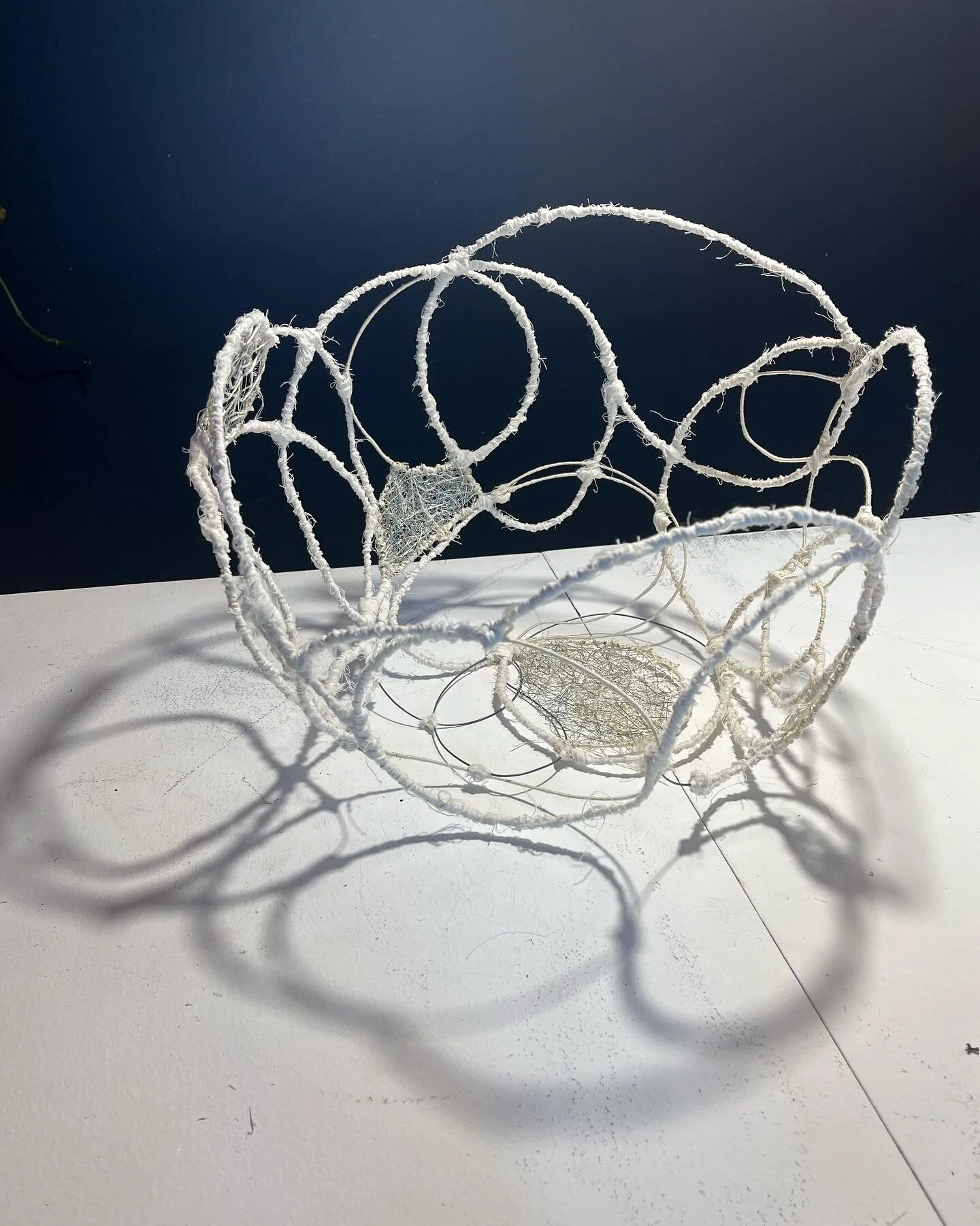 Experimenting with form and shadows. This piece is still developing but I wanted to put it out there as I figure it out. 

#armatureworks #armature #muslin #wire #wireweaving #form #sculptural #embroidery #feministart #femalevessel #shadowwork #betha