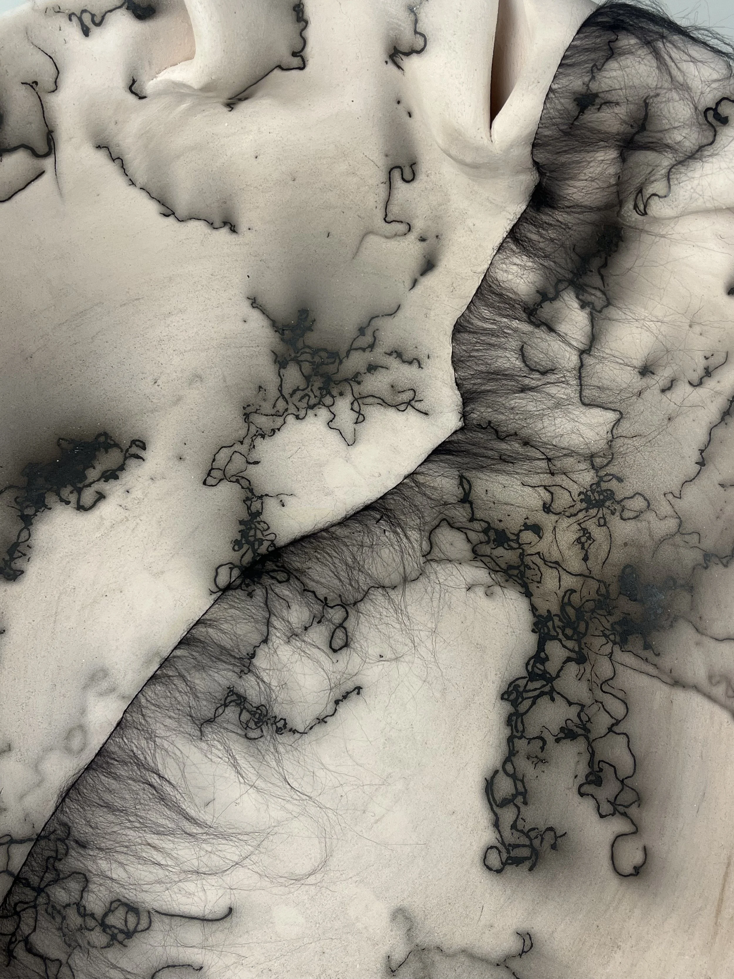 Fiber