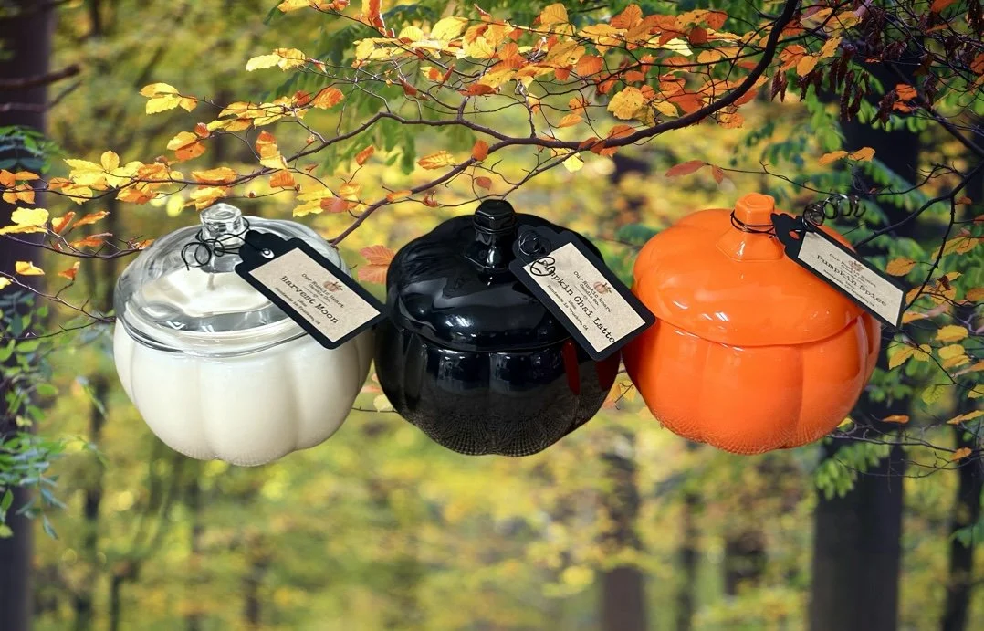 black pumpkin candles, orange pumpkin candles, clear glass pumpkin candles, clean pumpkin candles, natural pumpkin candles, soy pumpkin candles
