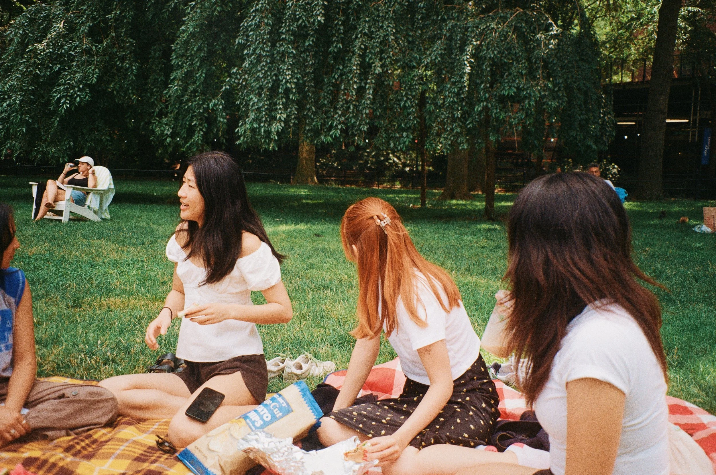 New York, 2024 / 35mm