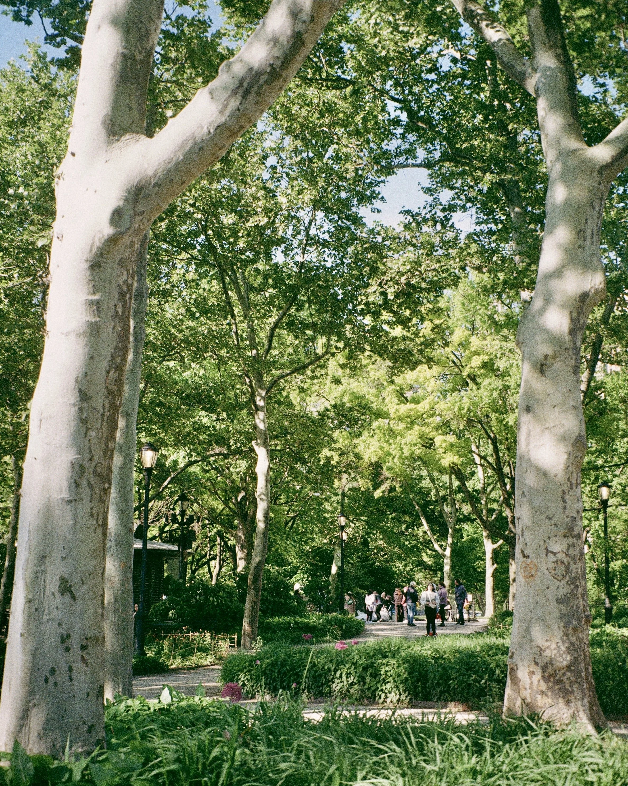 New York, 2024 / 35mm