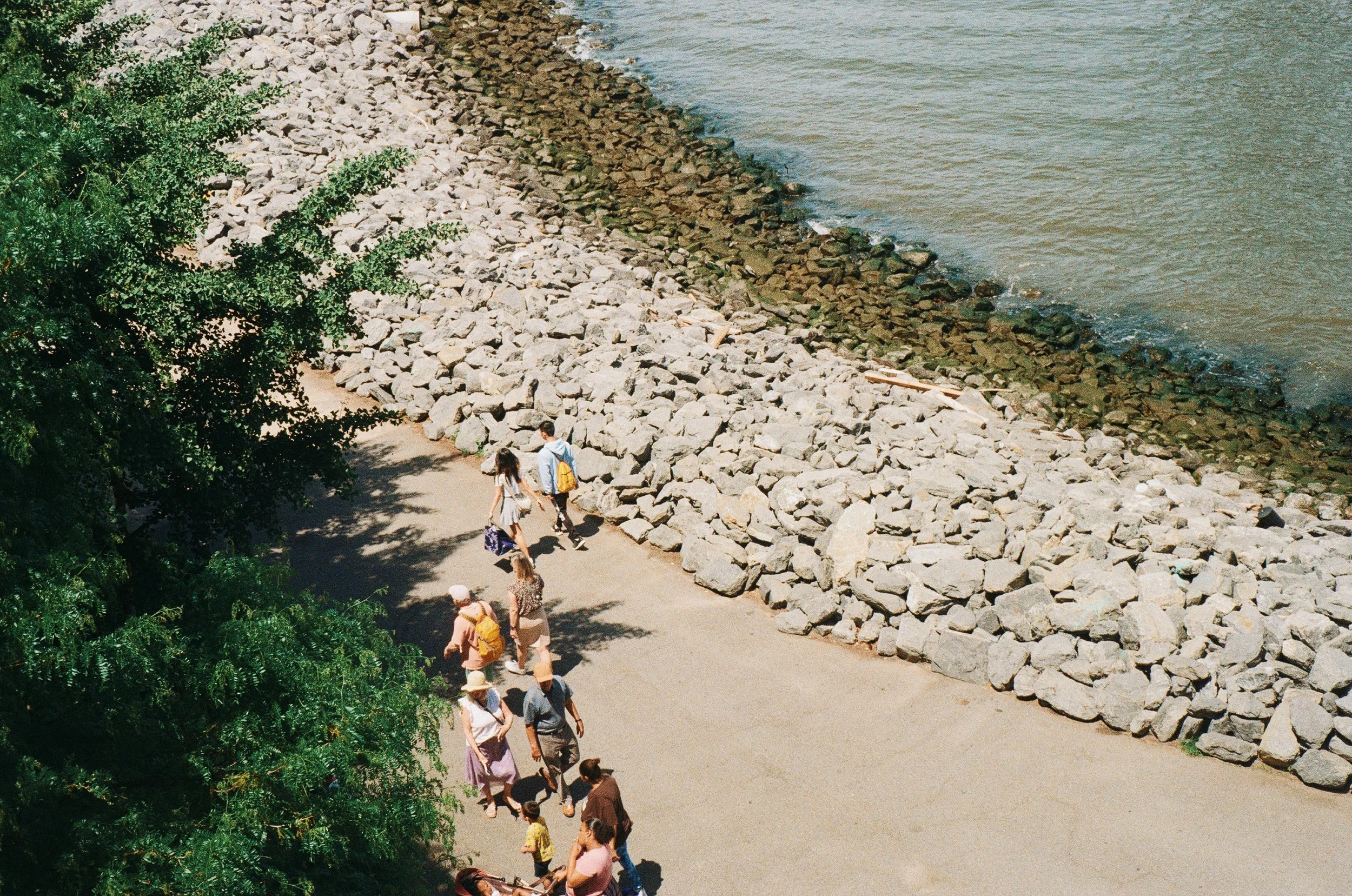 New York, 2024 / 35mm