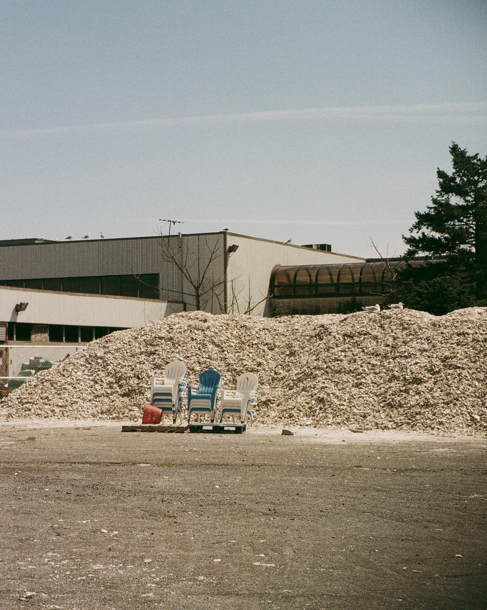 New York, 2024 / 35mm