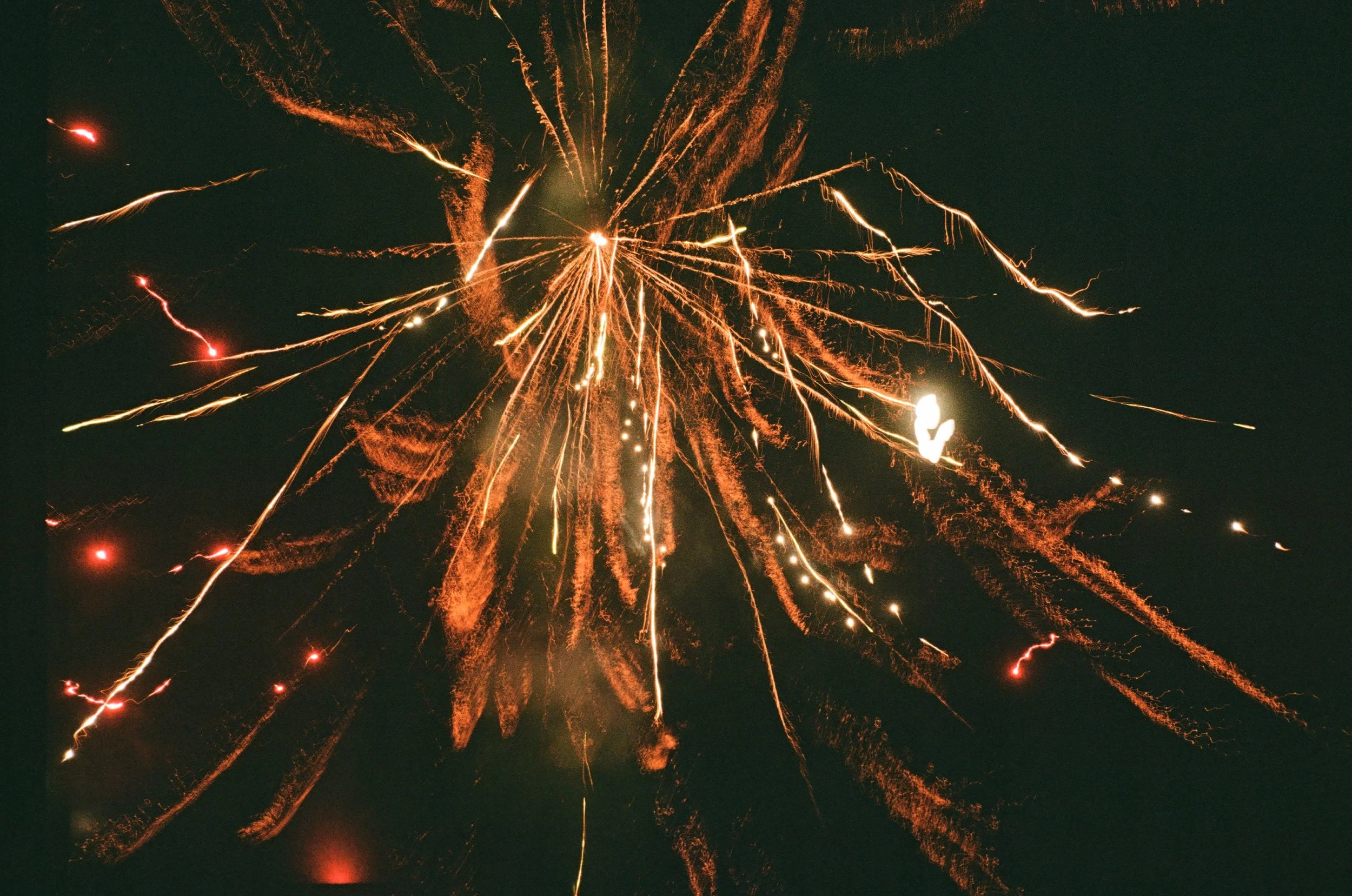 Los Angeles, 2025 / 35mm