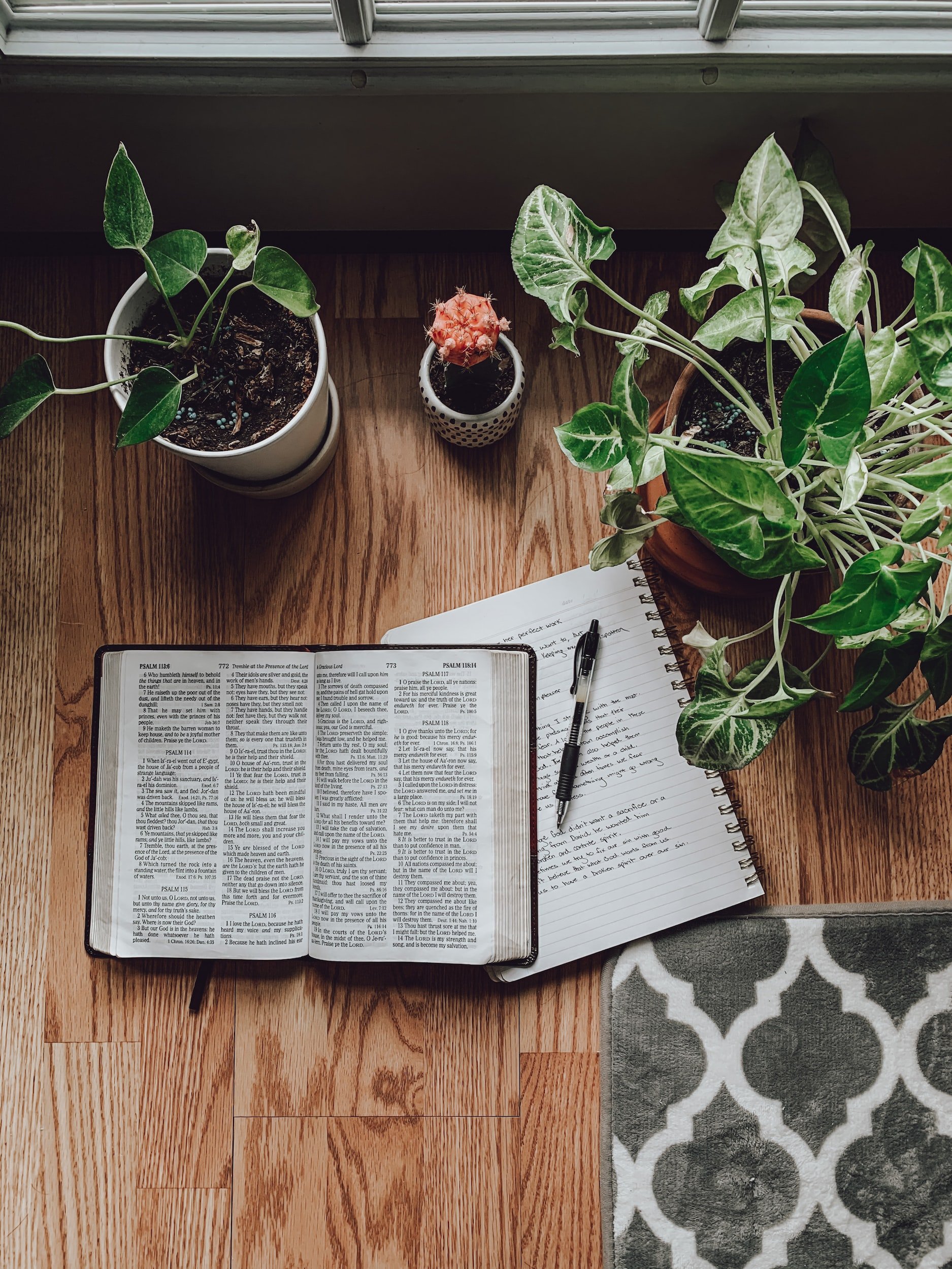 Bible Study (Points Event)
