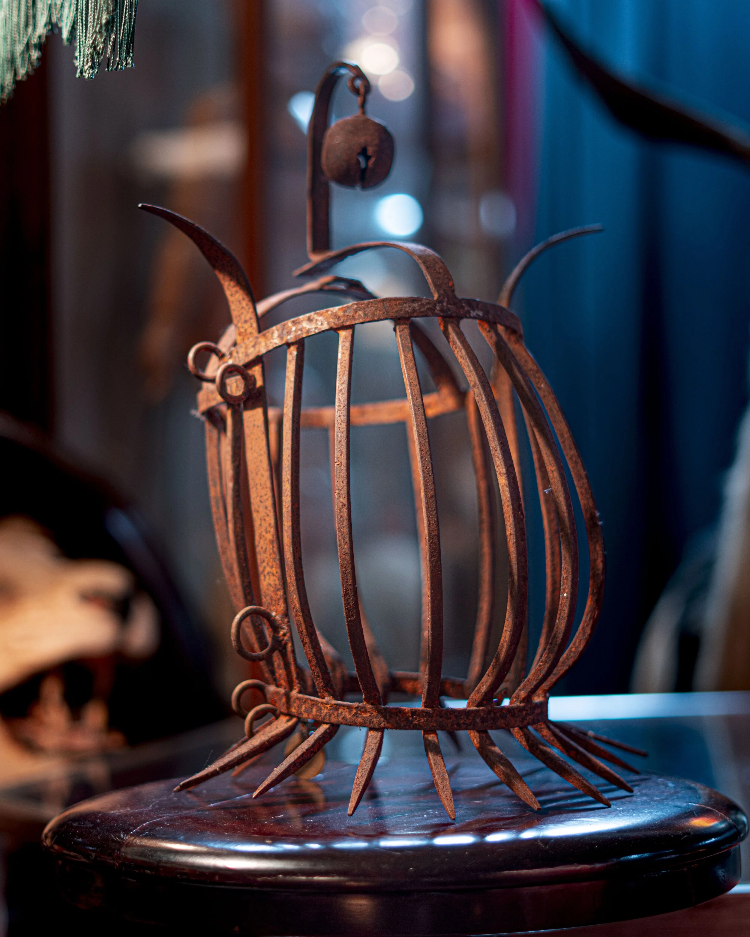 Oddities Museum-20.jpg