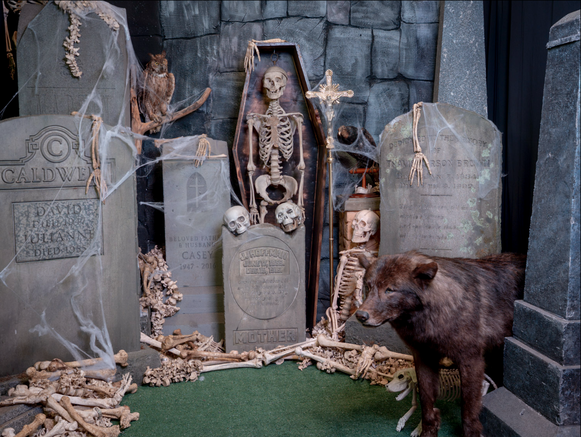The GHOULISH GRAVEYARD! A fun photo backdrop we created for the Oddities and Curiosities Expo
