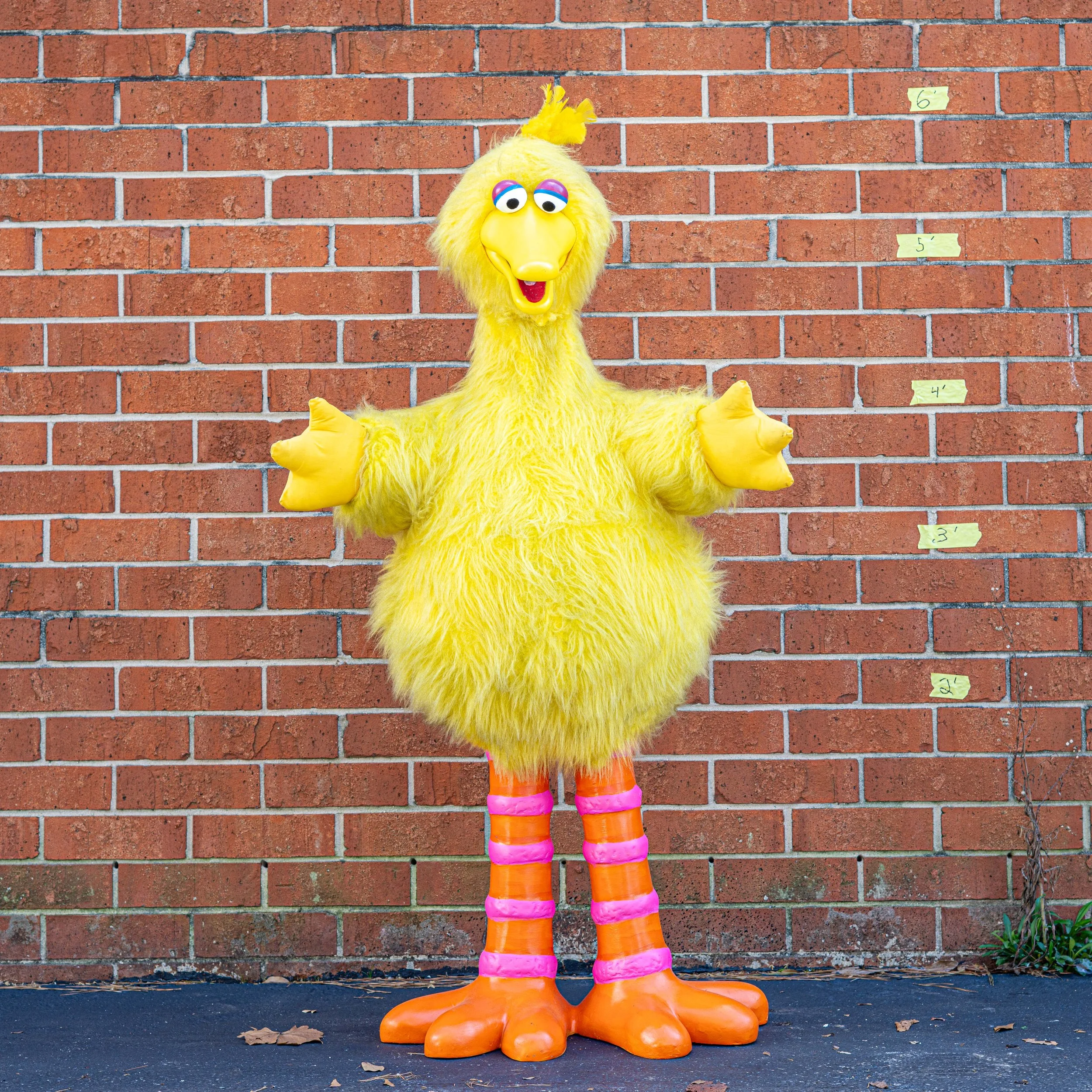 Big Bird (of Sesame Street fame)