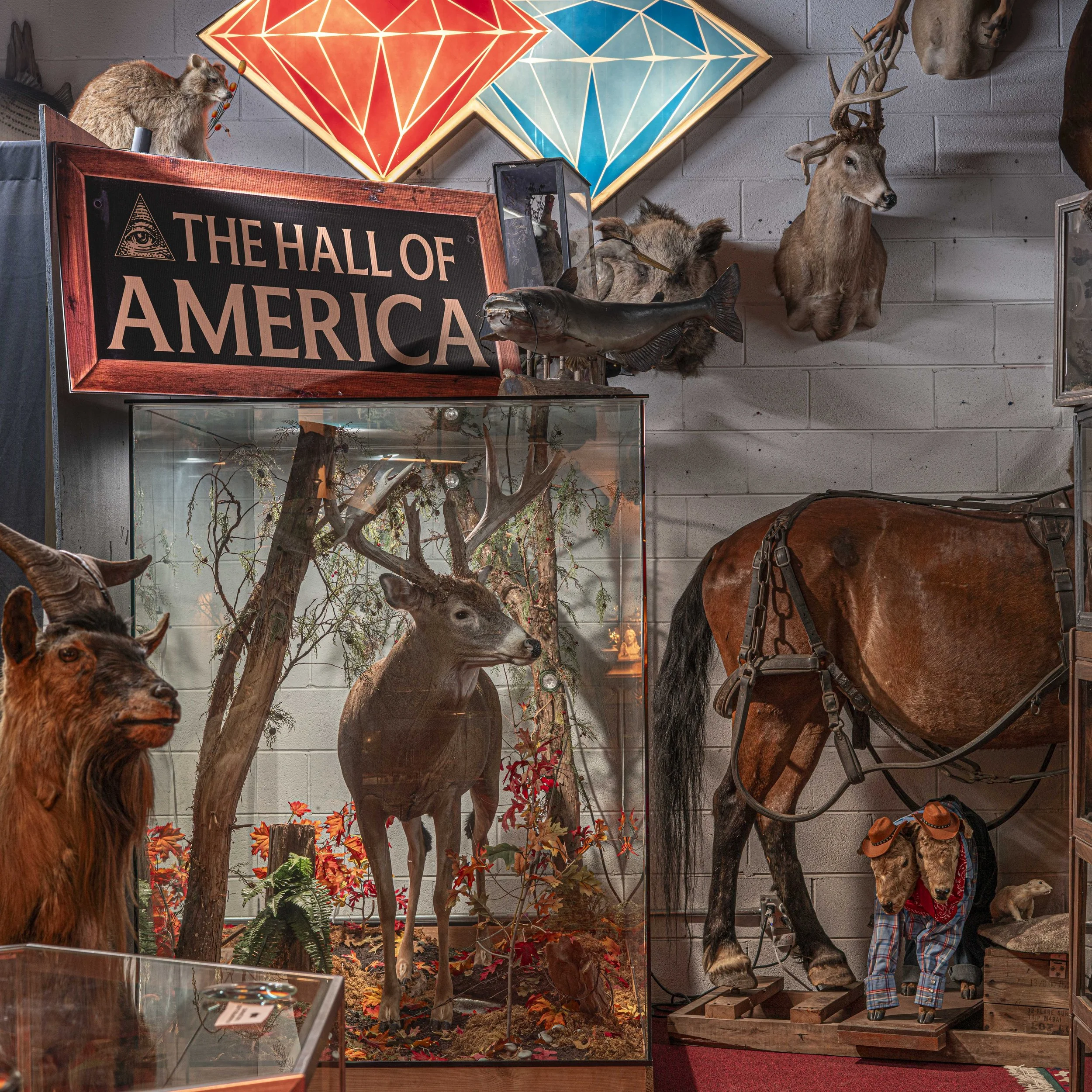 All kinds of traditional taxidermy, both modern and vintage