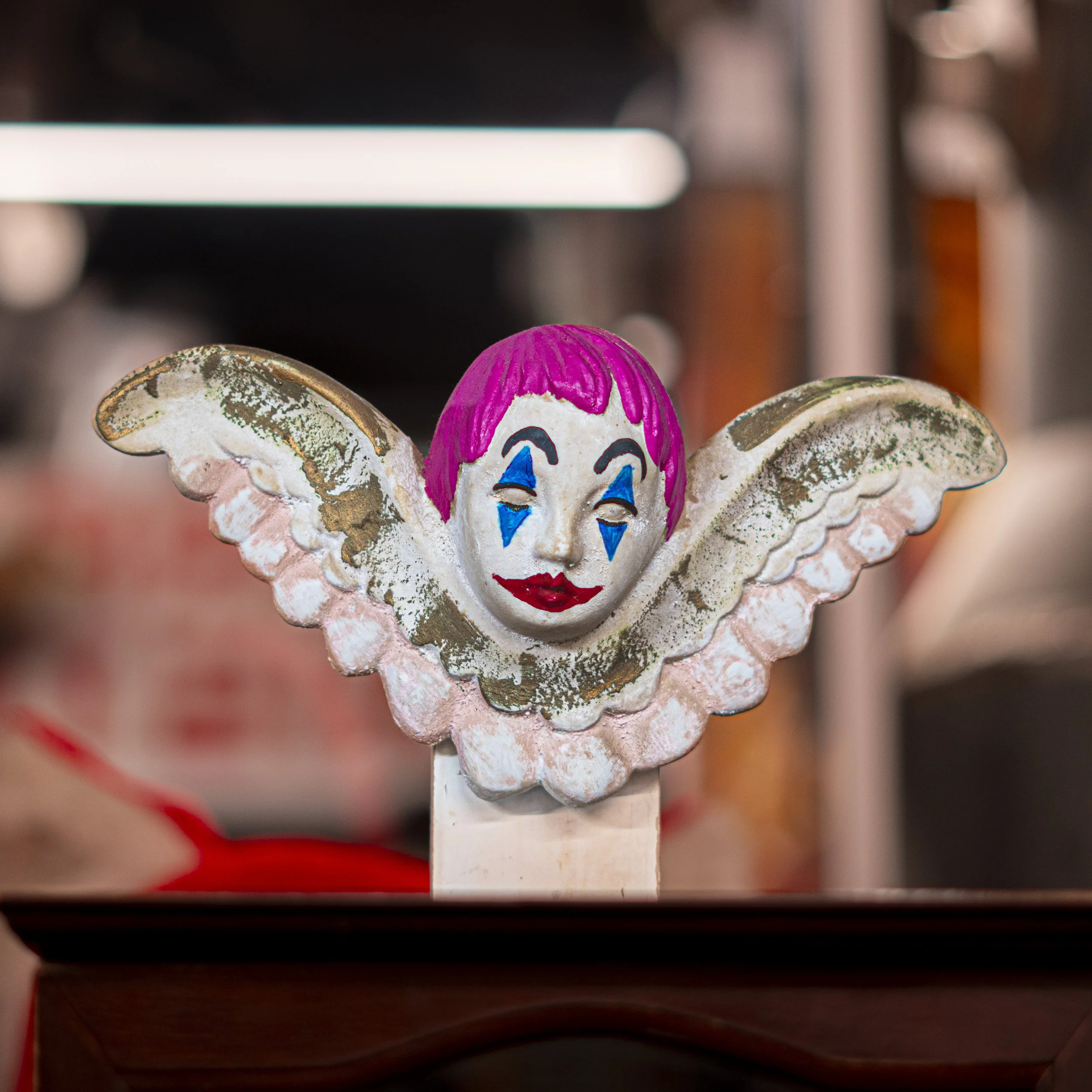 Oddities Museum-38.jpg