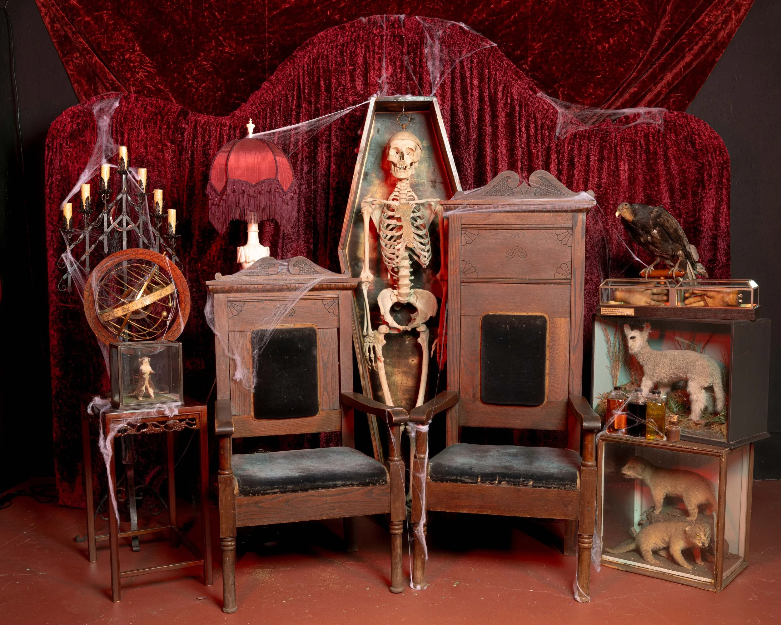 A photo backdrop for a special oddities Valentine's Day shoot