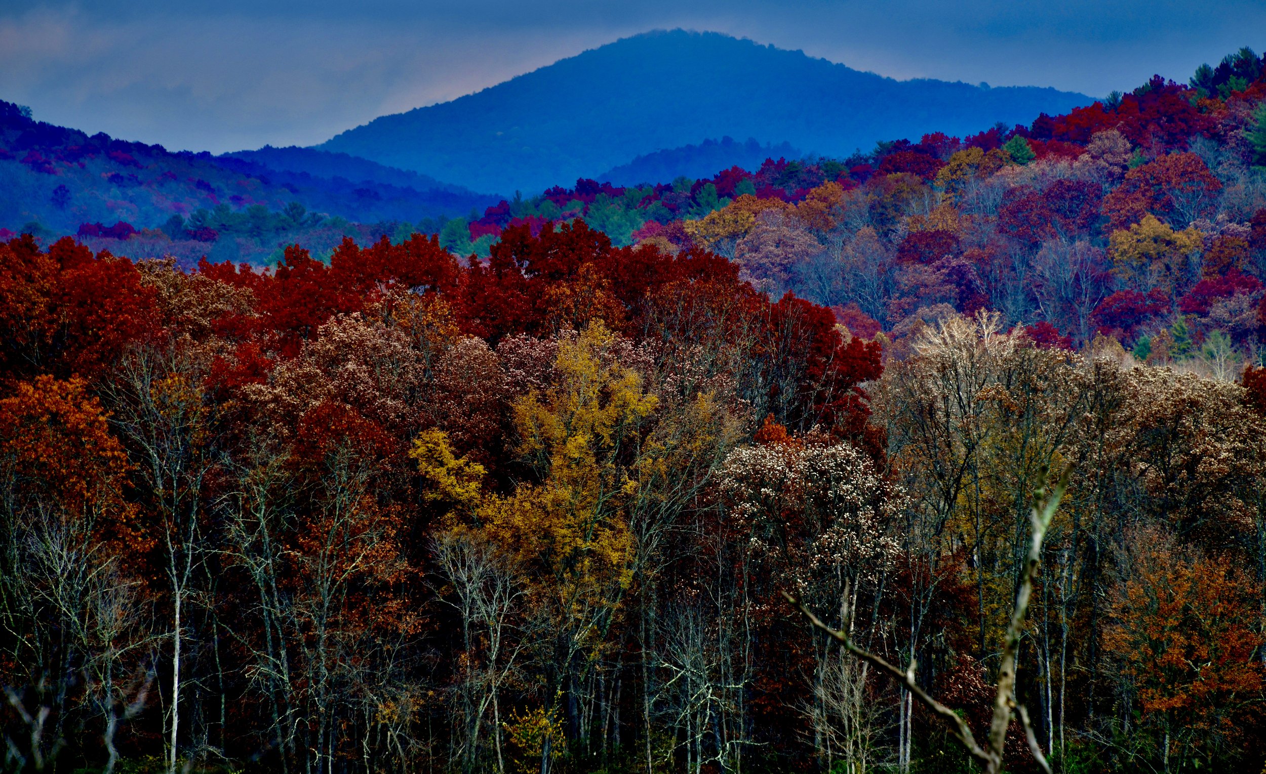 DSC_0490.JPG