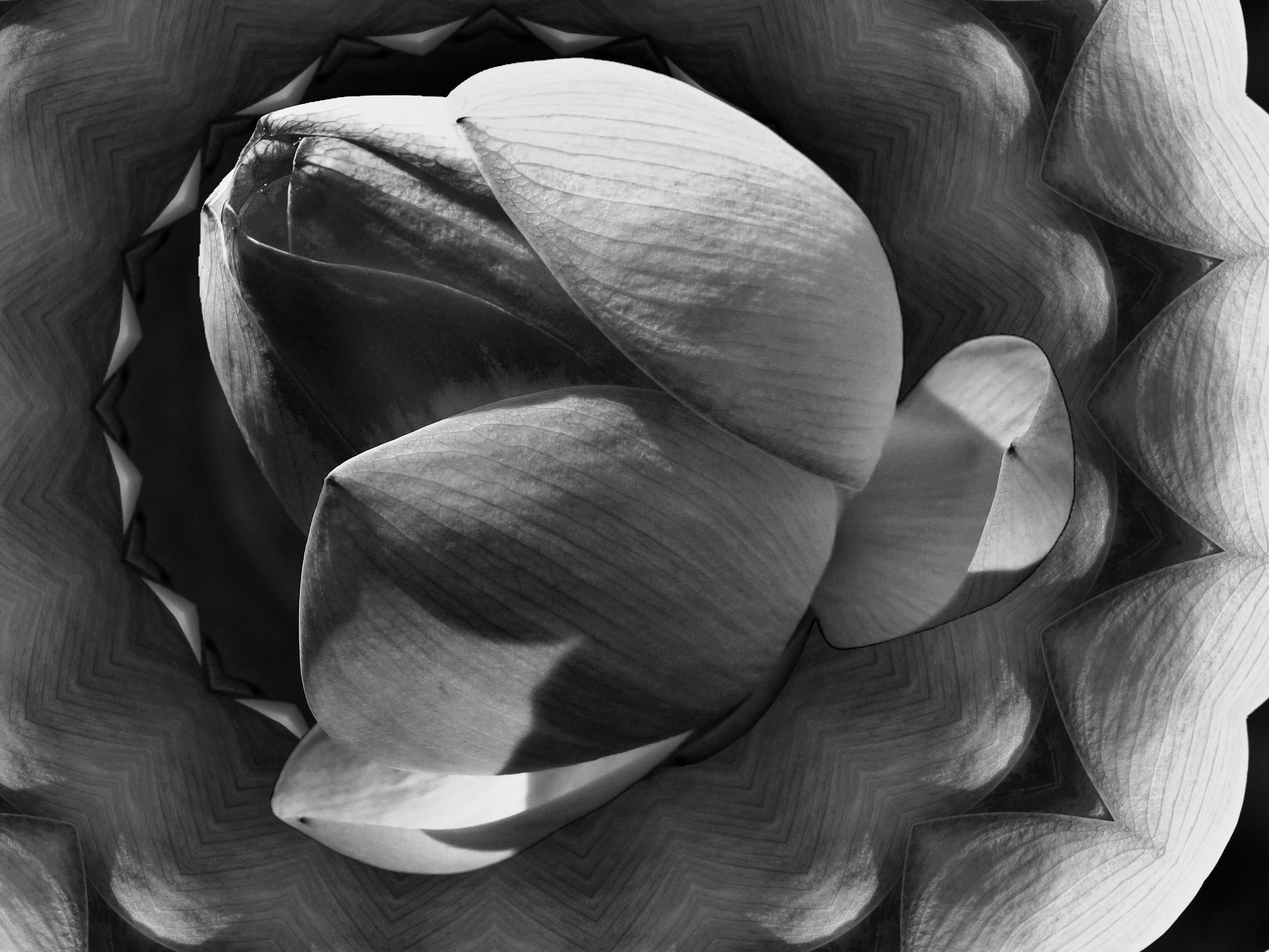 3D41DA76-31DA-411F-947E-CC2CA160A475_1_201_a.jpeg