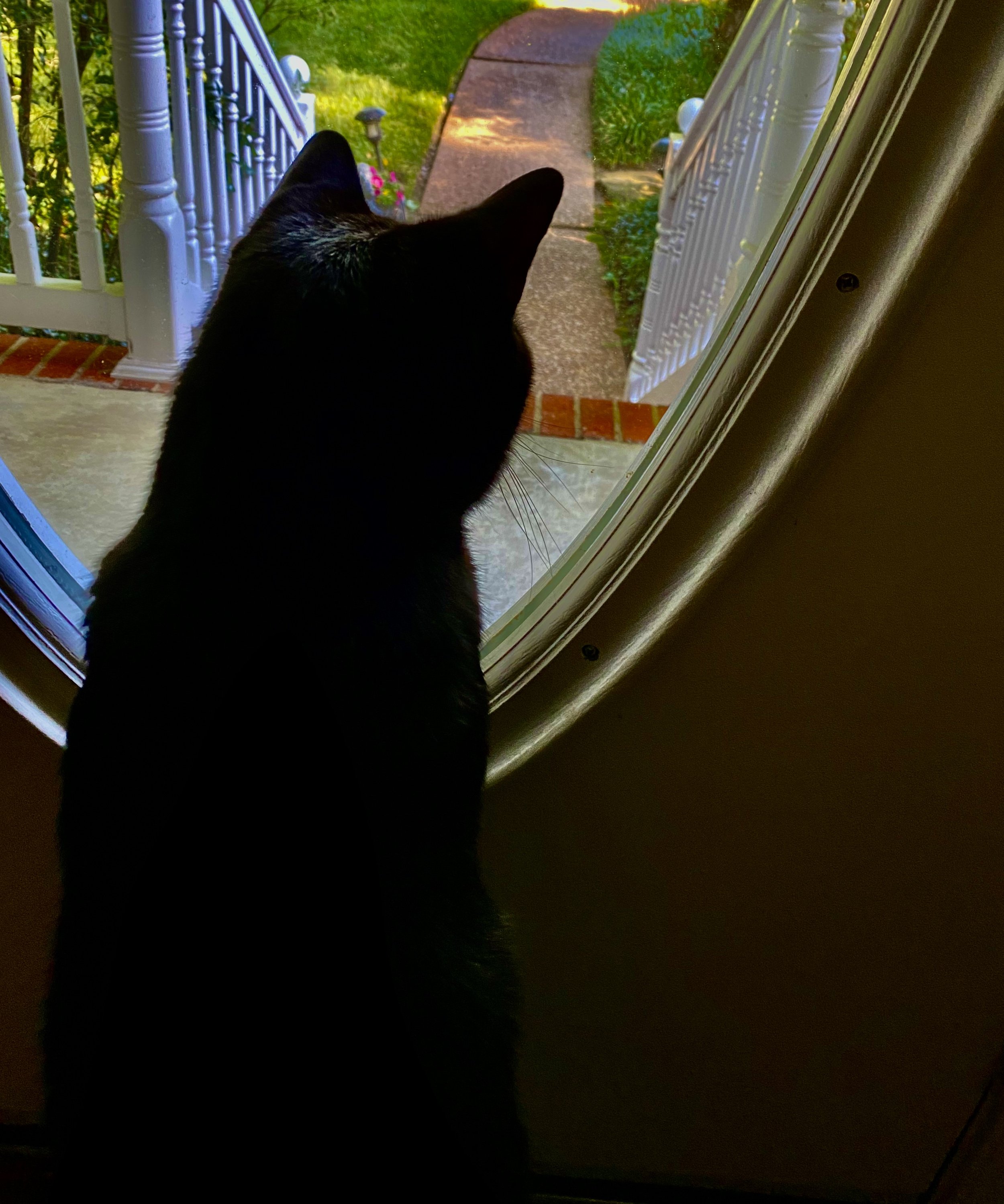 IMG_1908.jpeg