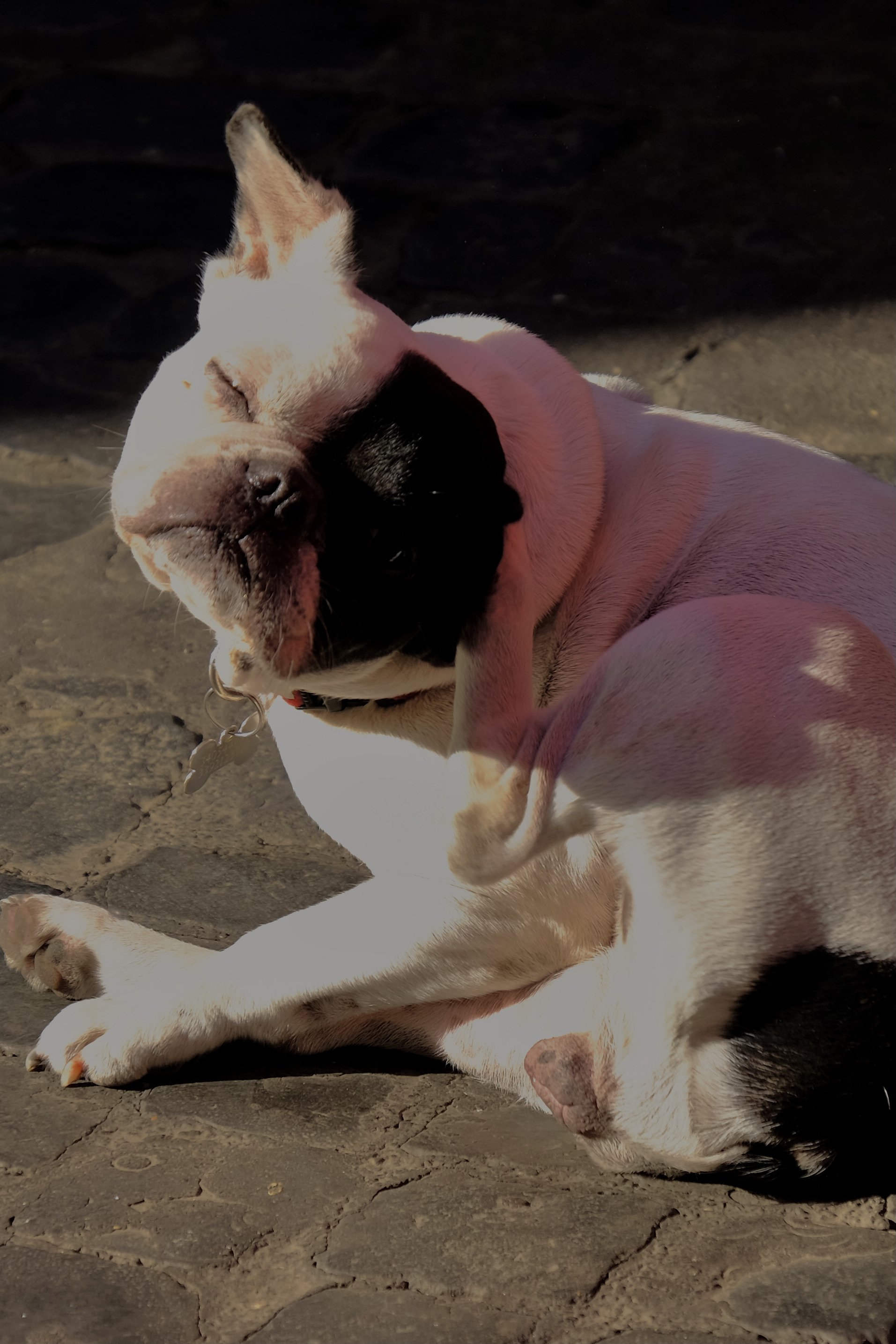 DSCF5188.JPG