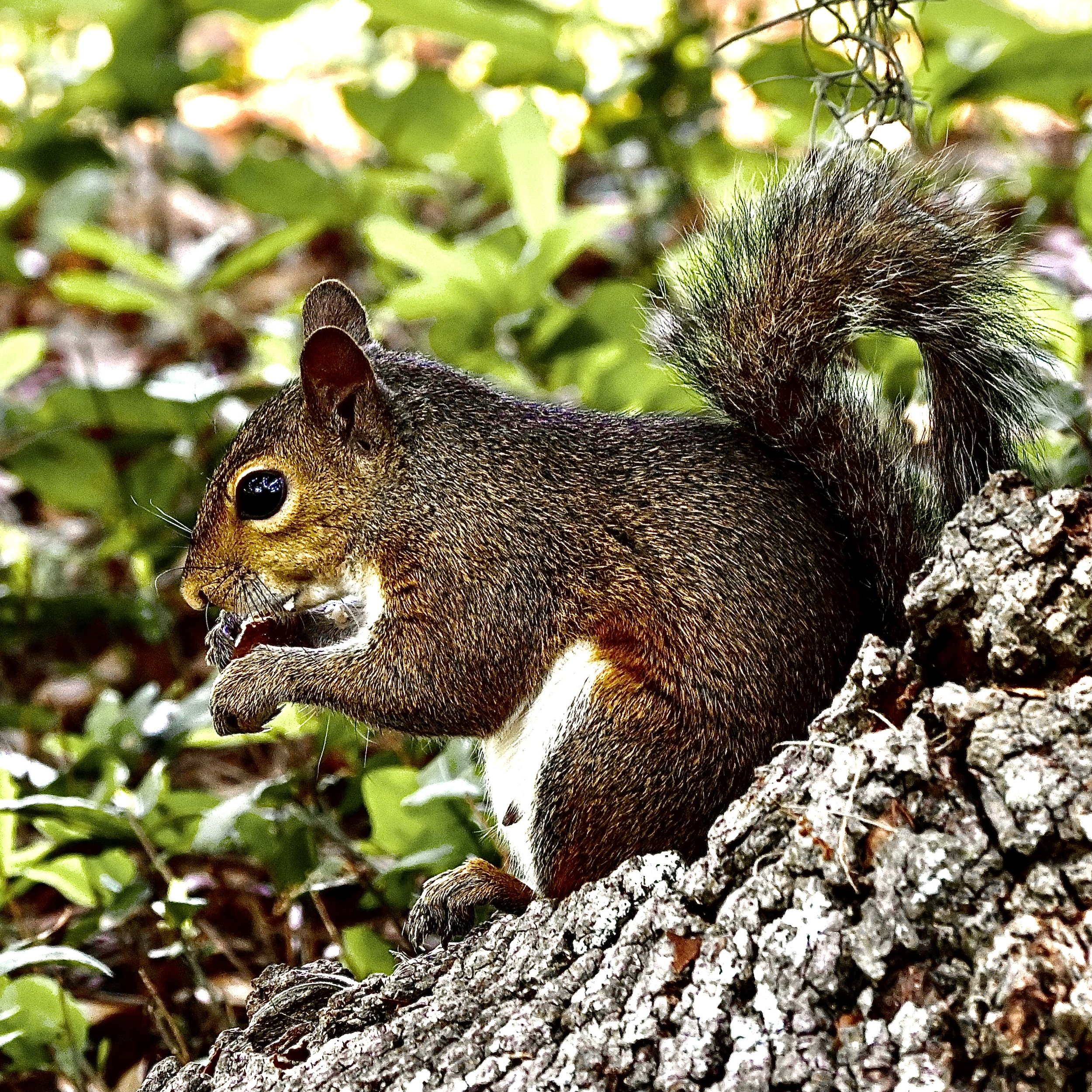 DSC_0644.JPG