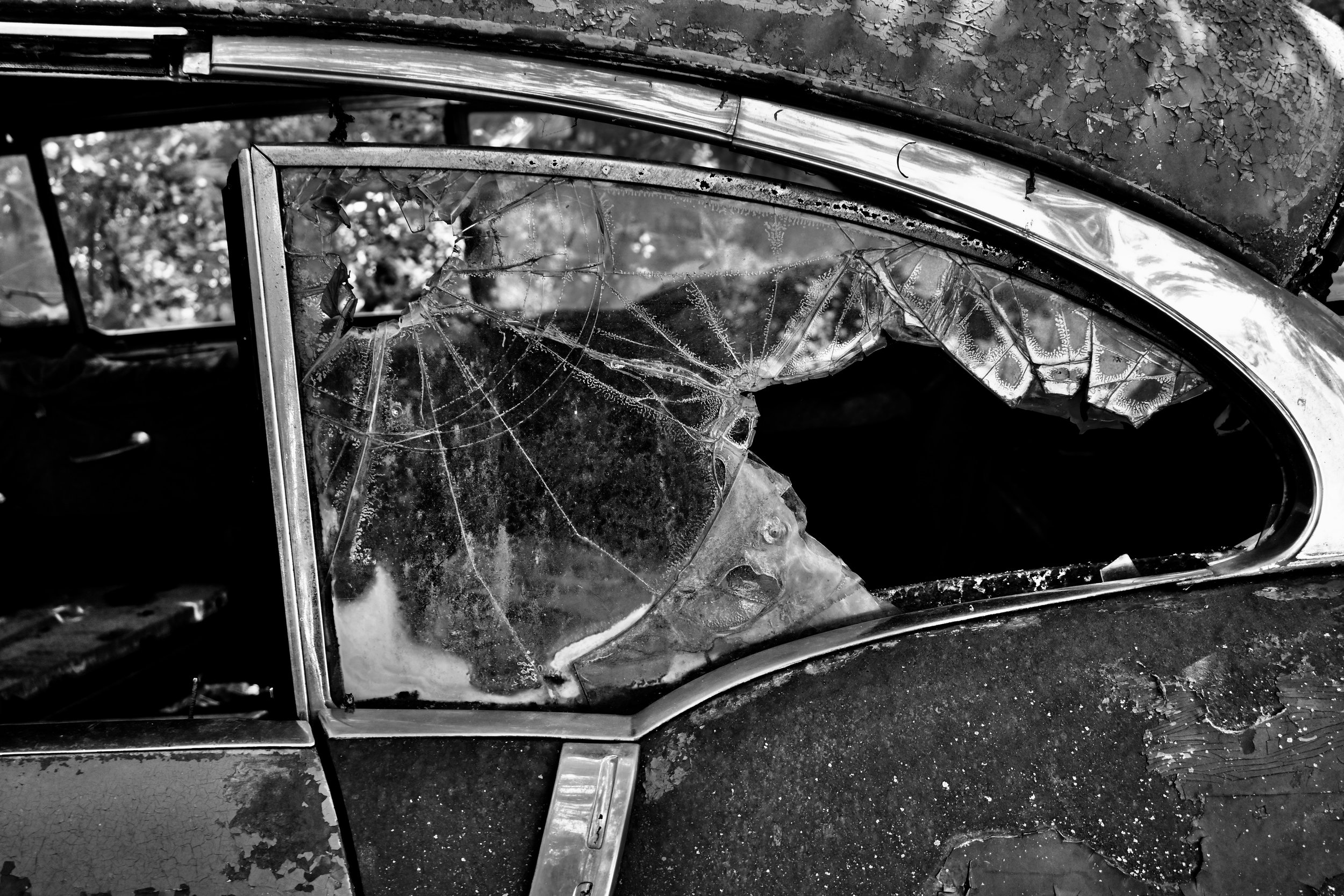 DSC_0571.jpeg