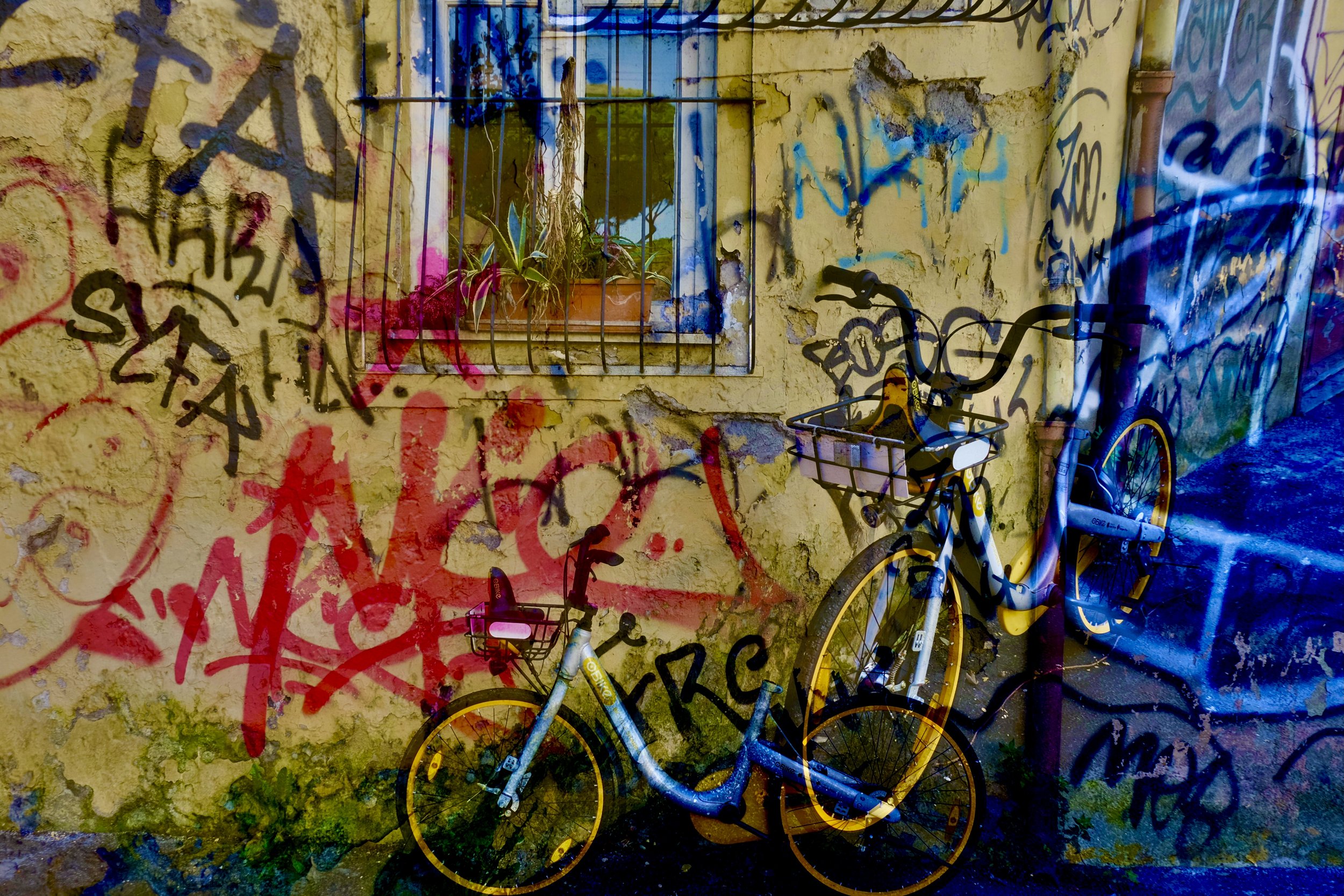 7A40F2BA-1041-41EA-B29C-1F9C3346D0EB_1_201_a.jpeg
