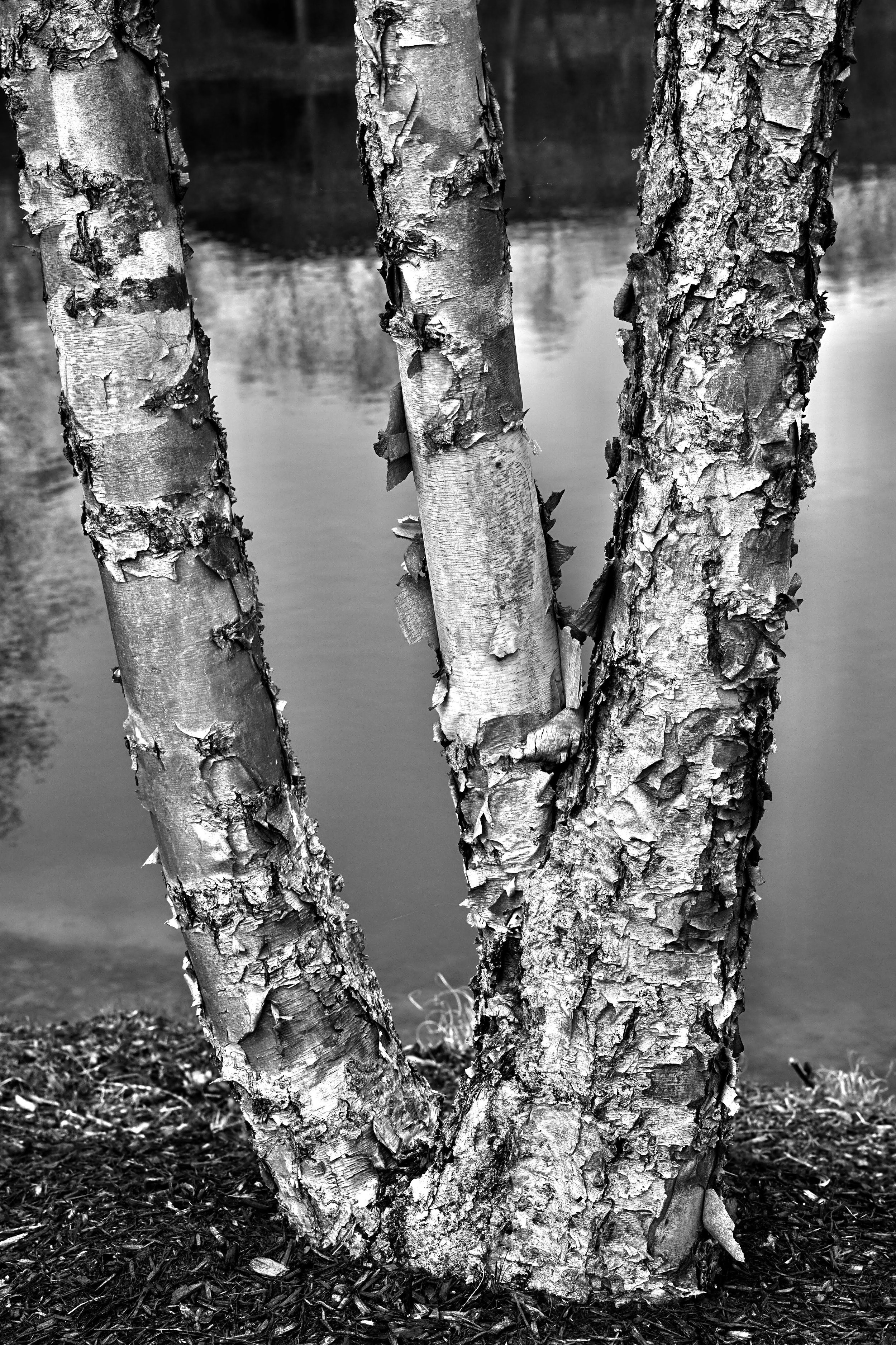 DSC02129(1).jpeg