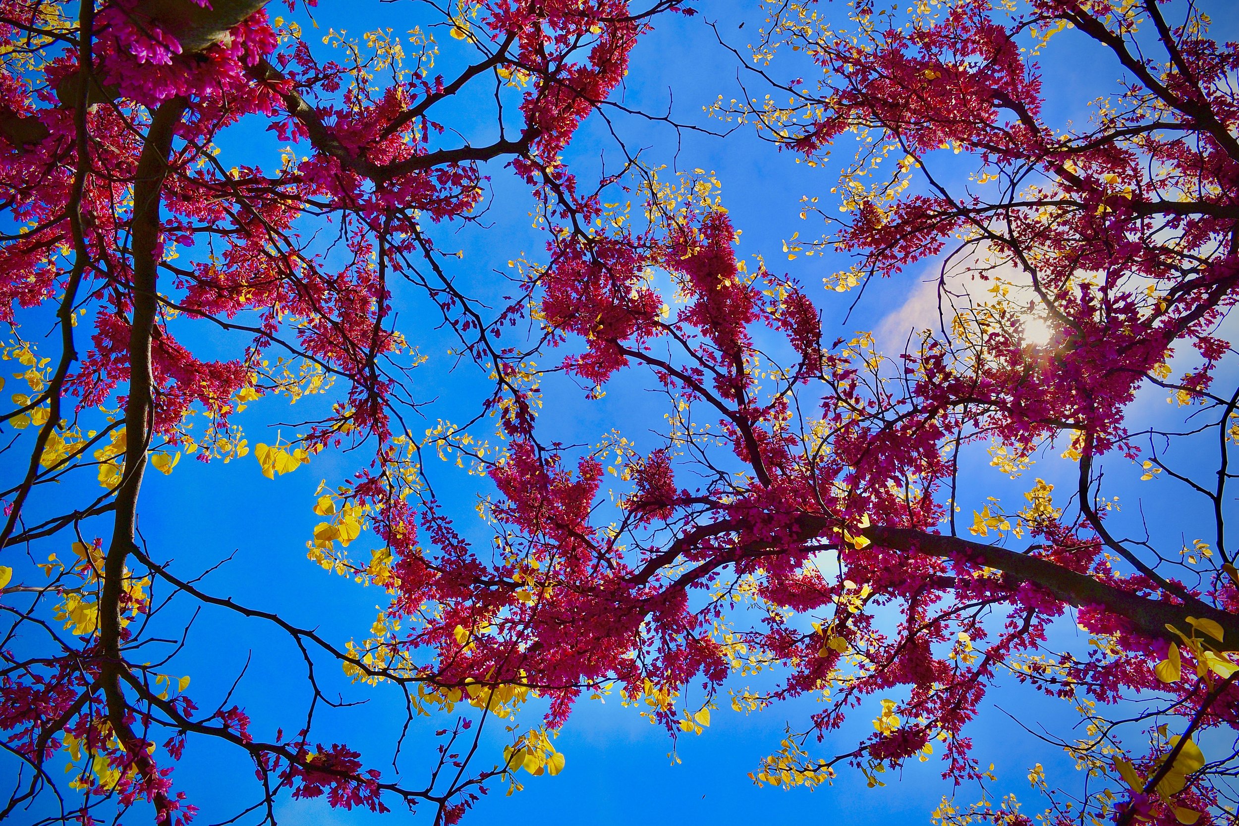 23CAAF8D-34BE-40F9-8CE0-E6DC0D206455_1_201_a.jpeg