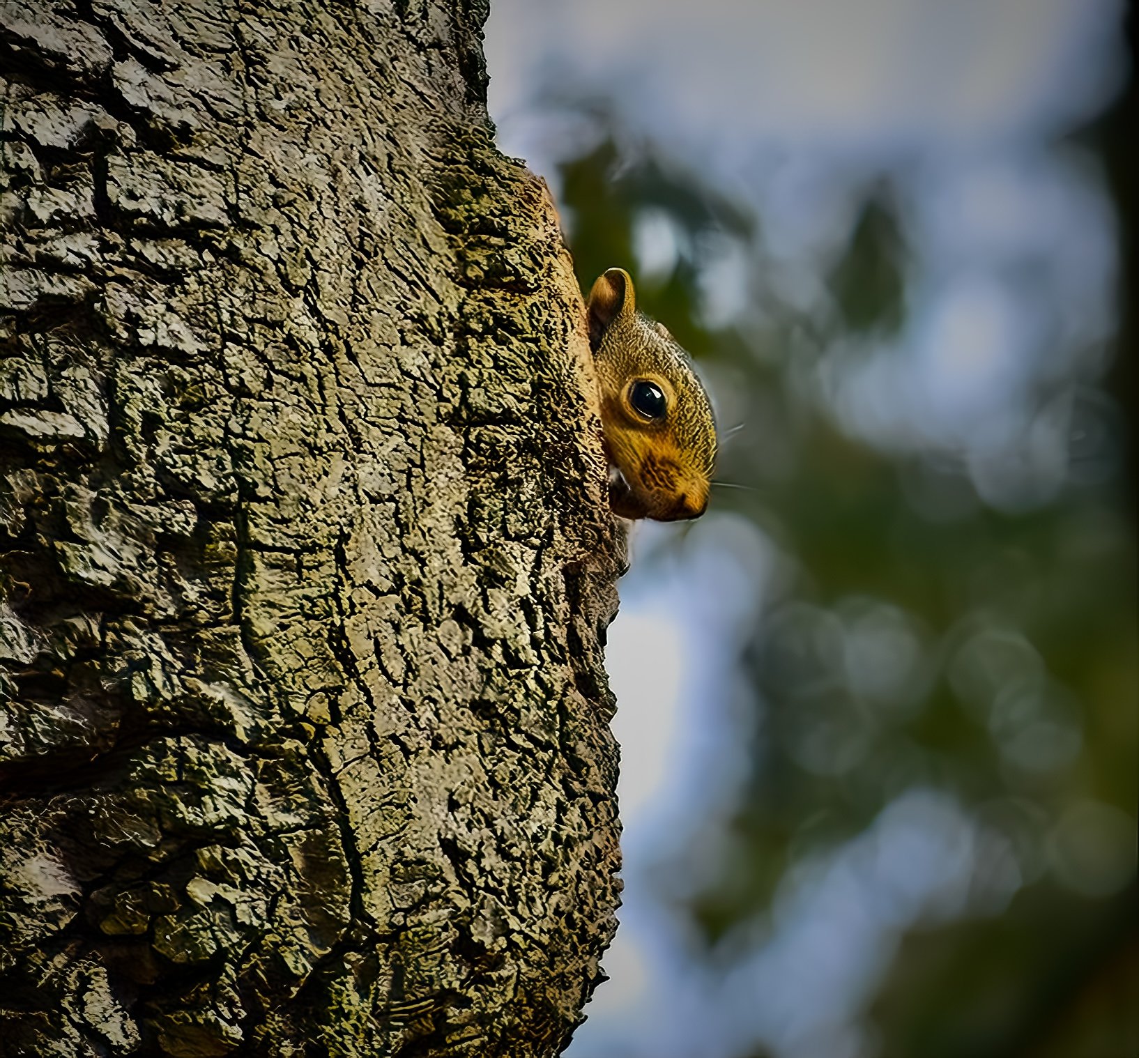 543876E8-7AB7-4D11-8B39-AEDB66F51F27_1_201_a.jpeg