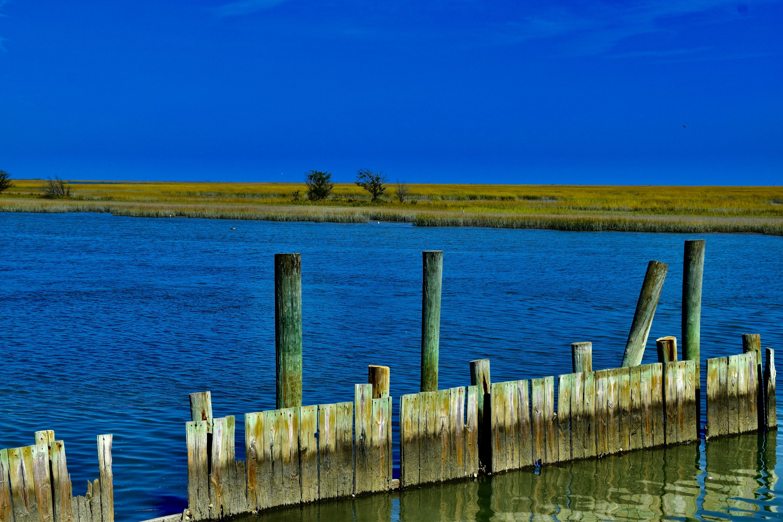 35C14934-8FB6-407F-B69B-88AAD20C2A77_1_201_a.jpeg