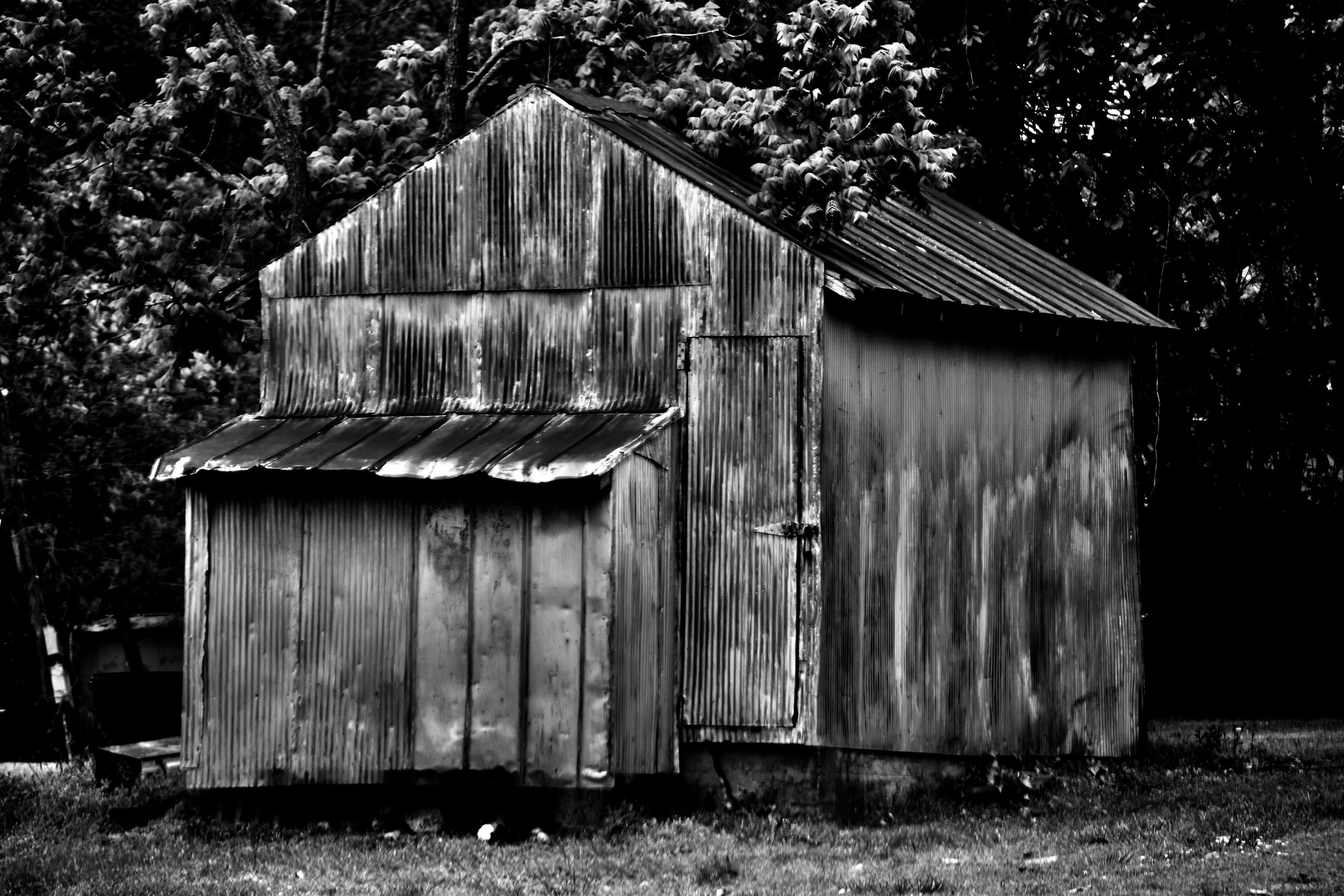 DSC_0056.jpeg