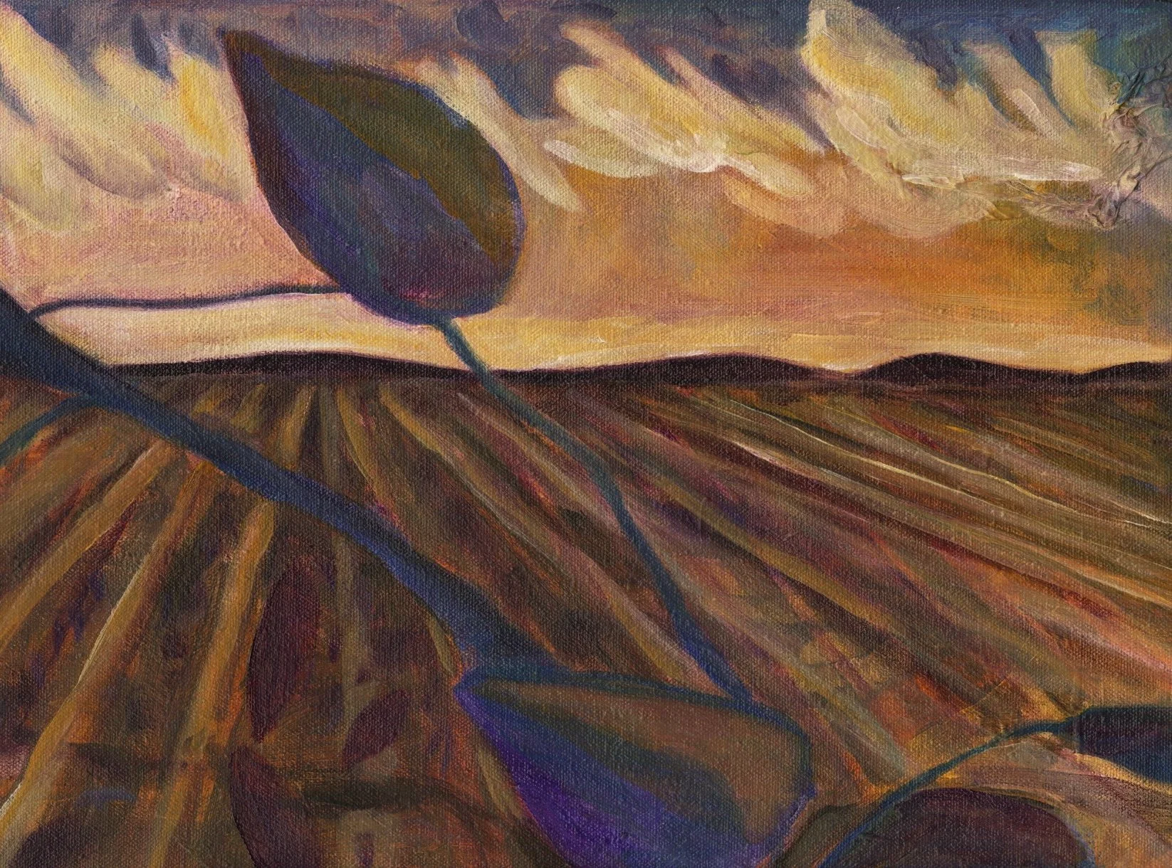 Halloween Crop Row Sunset.jpg