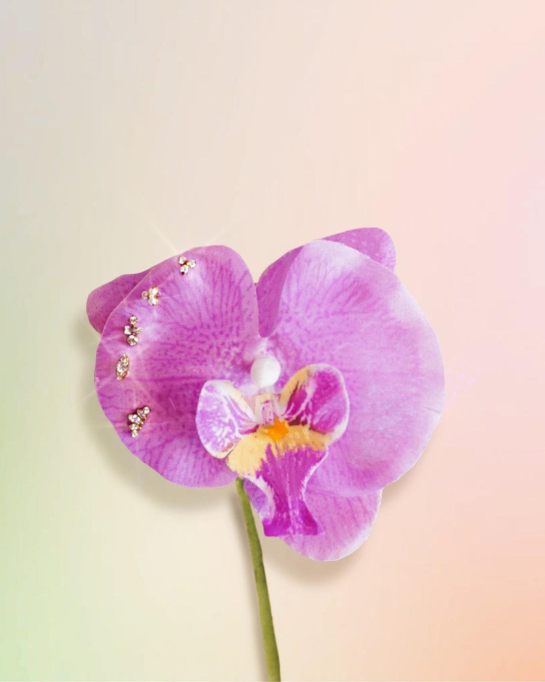 purple flower.jpg