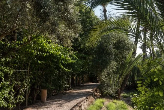 View of grounds at Jnane Tamsna