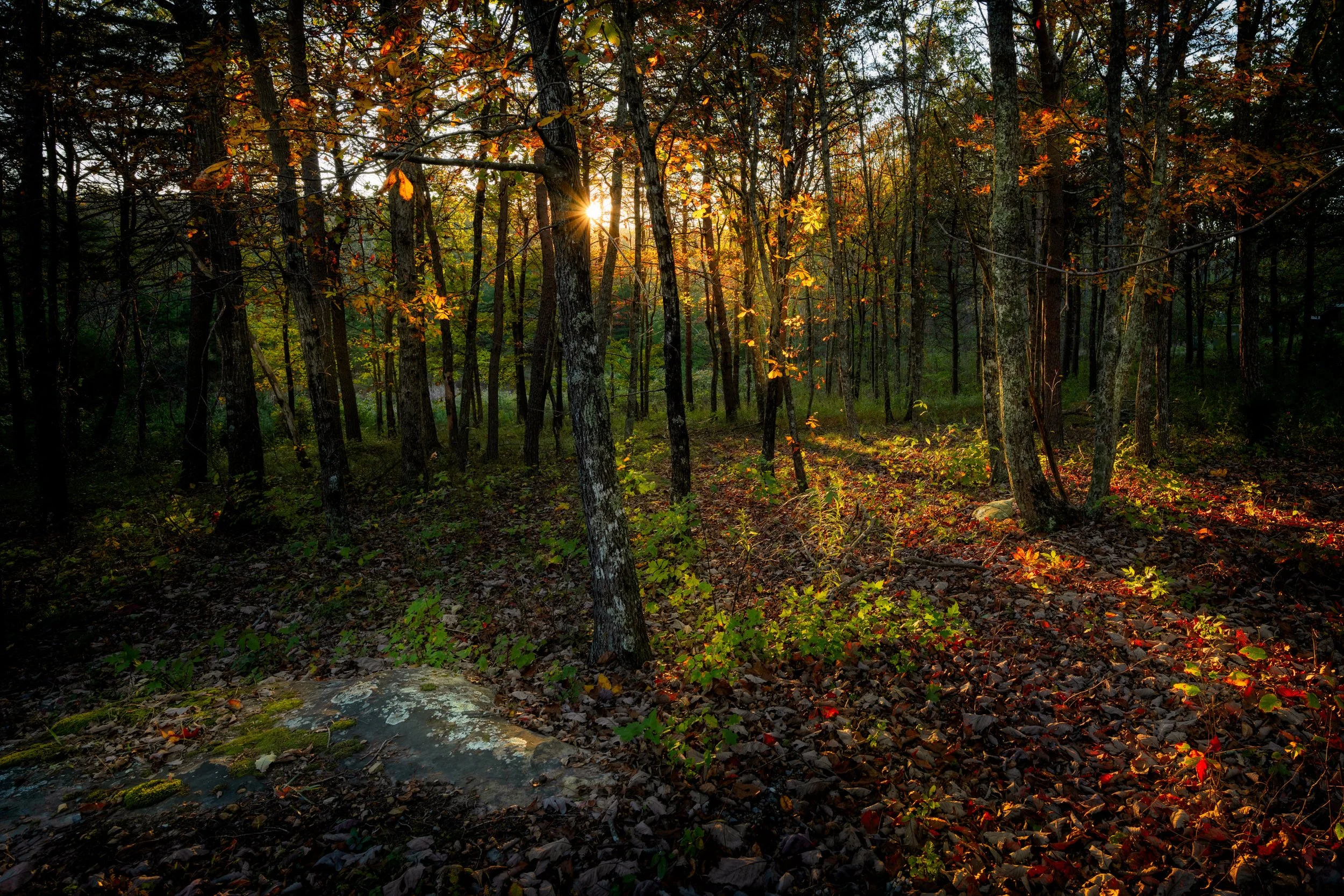 LIVE ABOVE THE CLOUDS — THE MCLEMORE RESORT ON LOOKOUT MOUNTAIN,
