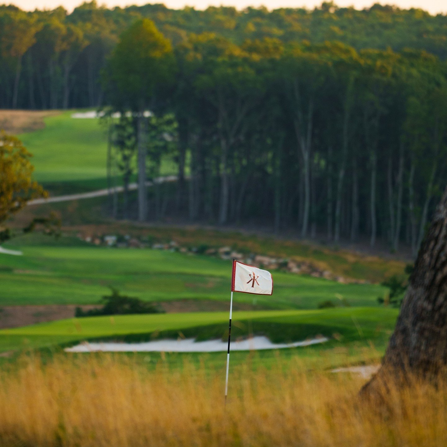 What do McLemore Resort and @bethpagegolfcourse have in common??

The architectural genius of Rees Jones! 🏌️&zwj;♂️

Jones did the architectural work ahead of the two US Opens at Bethpage in 2002 and 2009 Ryder Cup, transforming the legendary Black 