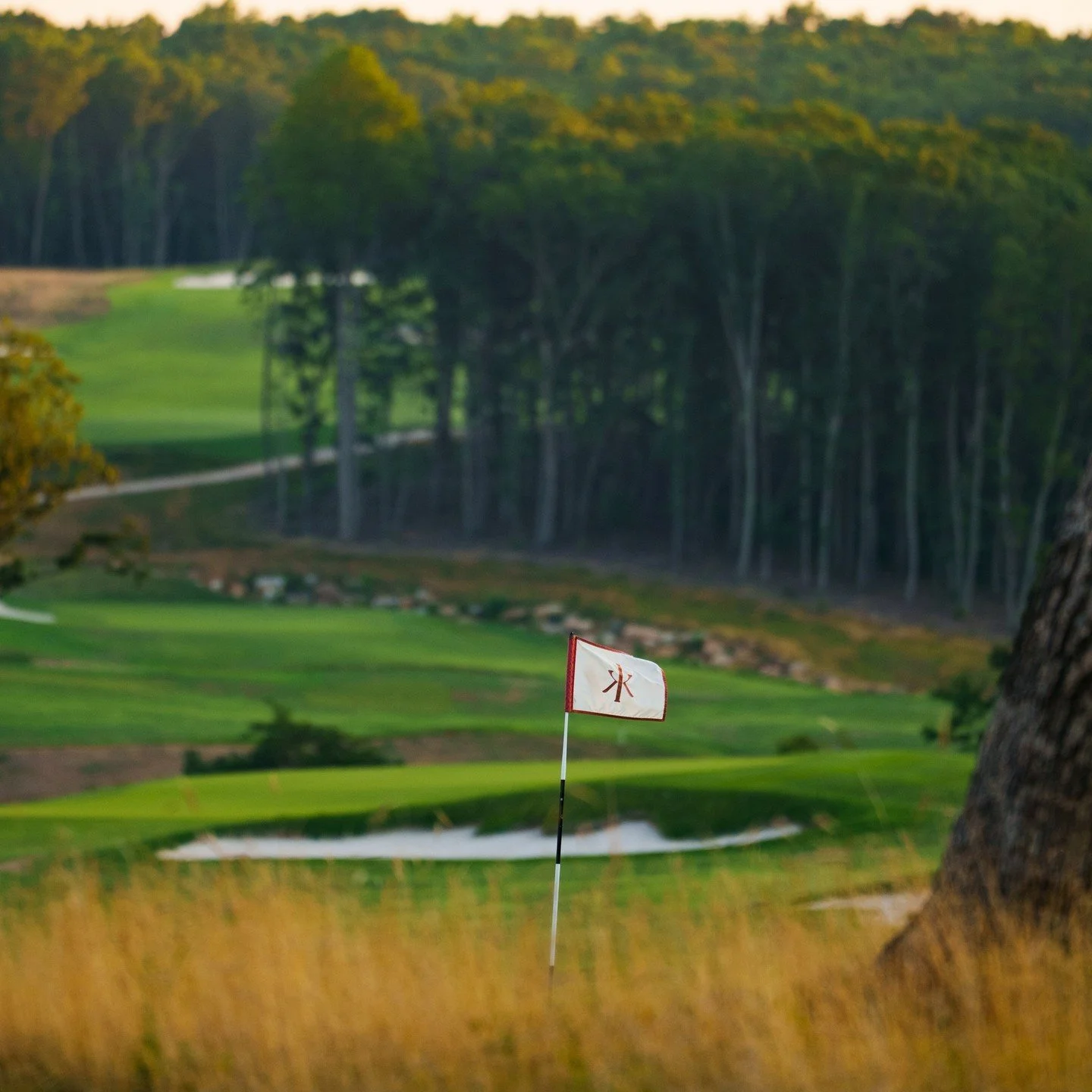 What do McLemore Resort and @bethpagegolfcourse have in common??

The architectural genius of Rees Jones! 🏌️&zwj;♂️

Jones did the architectural work ahead of the two US Opens at Bethpage in 2002 and 2009 Ryder Cup, transforming the legendary Black 