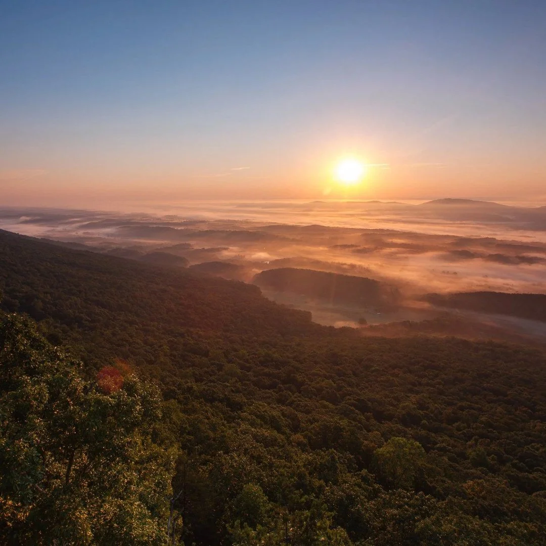 Most owners say the same thing: it started with a stay.

A Discovery Visit gives buyers a real feel for McLemore Resort, with Cloudland accommodations, tee times, dining reservations, and a private real estate tour built around their schedule.

This 