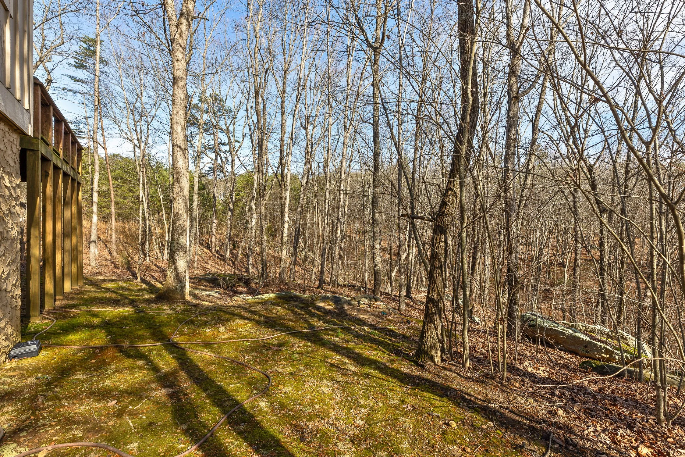 40-Rushing Water-40.jpg